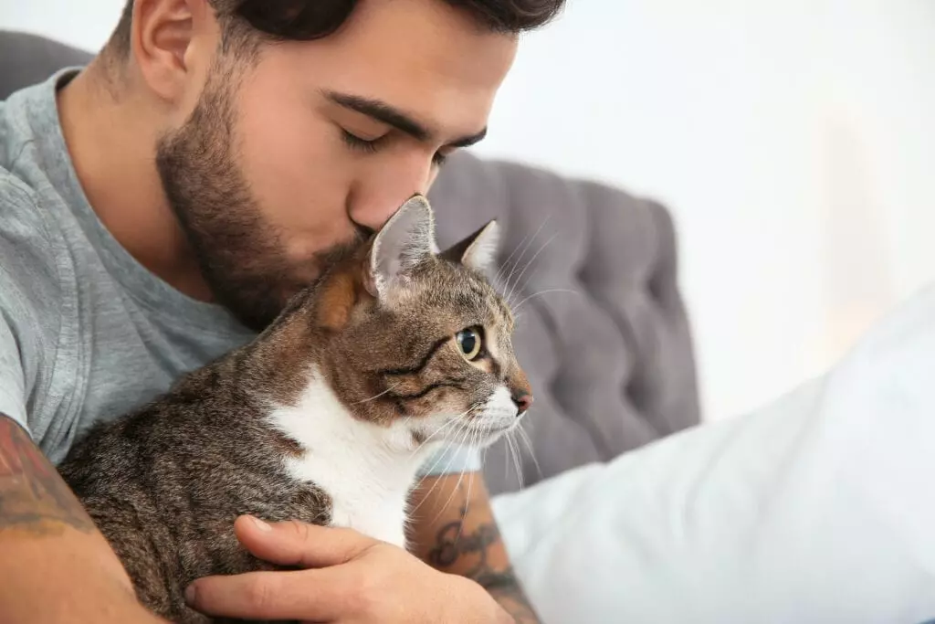 Why Cats Pick Us as Their Favorite People: The Science of Their Attachment
