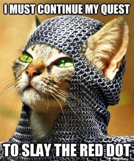The Science Behind Why Cats Chase Laser Pointers
