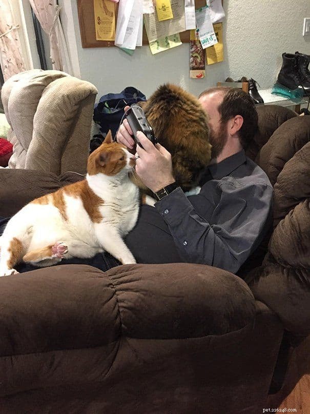 21 Cat Behaviors That Show They Don’t Respect Personal Space