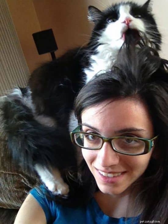 21 Cat Behaviors That Show They Don’t Respect Personal Space