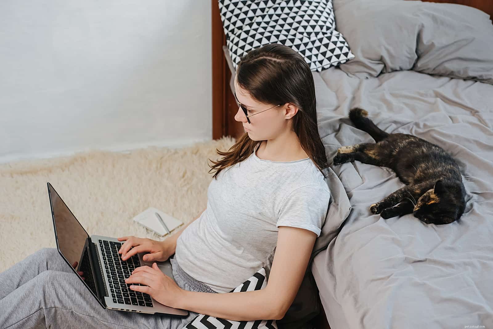 Debunking 5 Common Myths About Owning a Cat