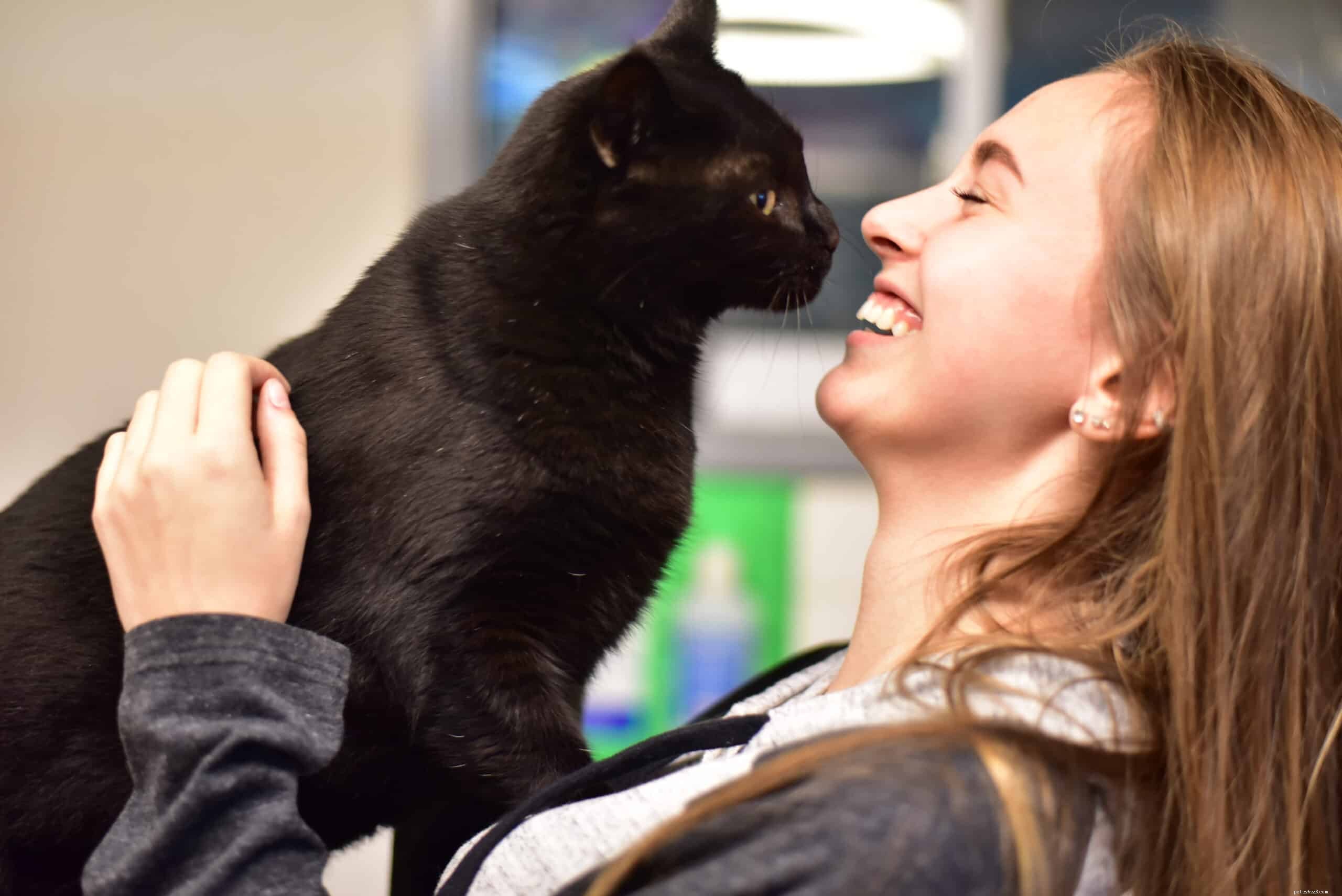 How Cats Detect Human Energy: Distinguishing Good from Bad