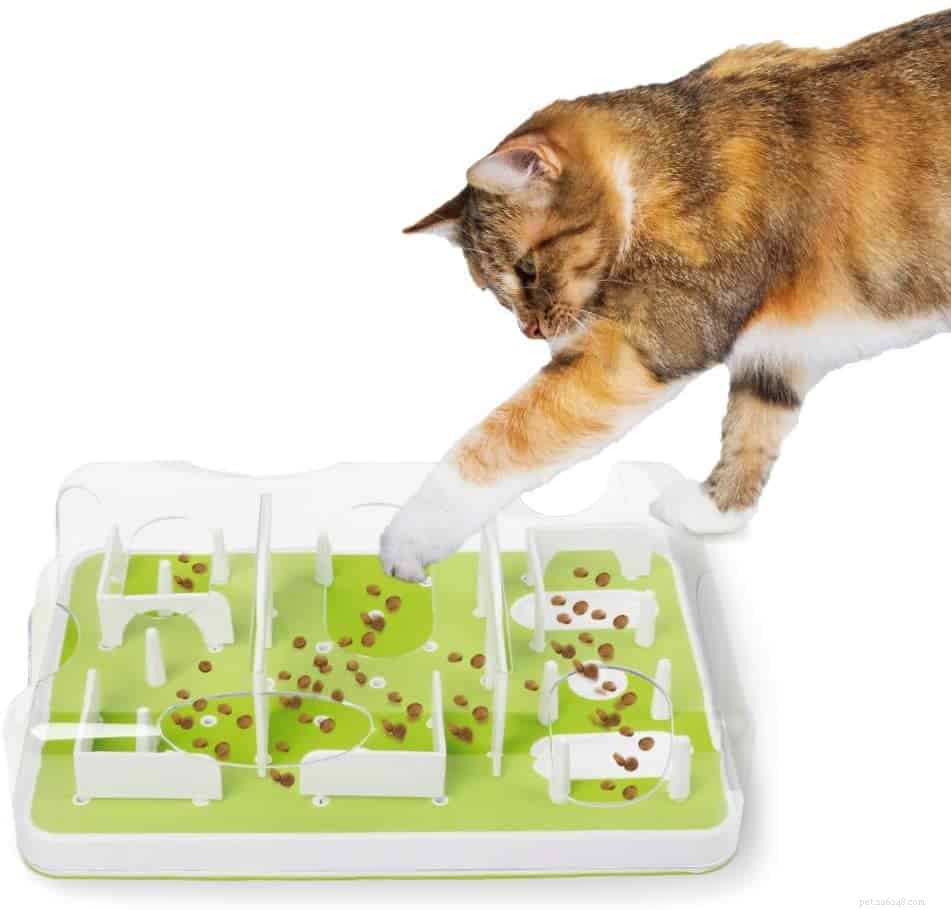Research Reveals Cats Uninterested in Food-Driven Tasks