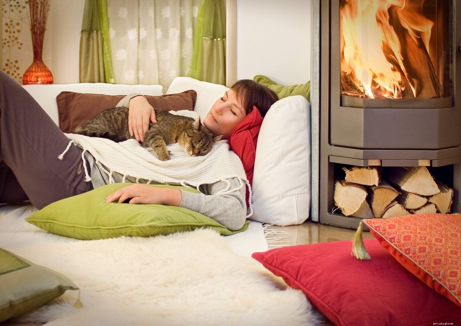 Why Cats Prefer Sleeping Under Your Neck: Insights & Benefits