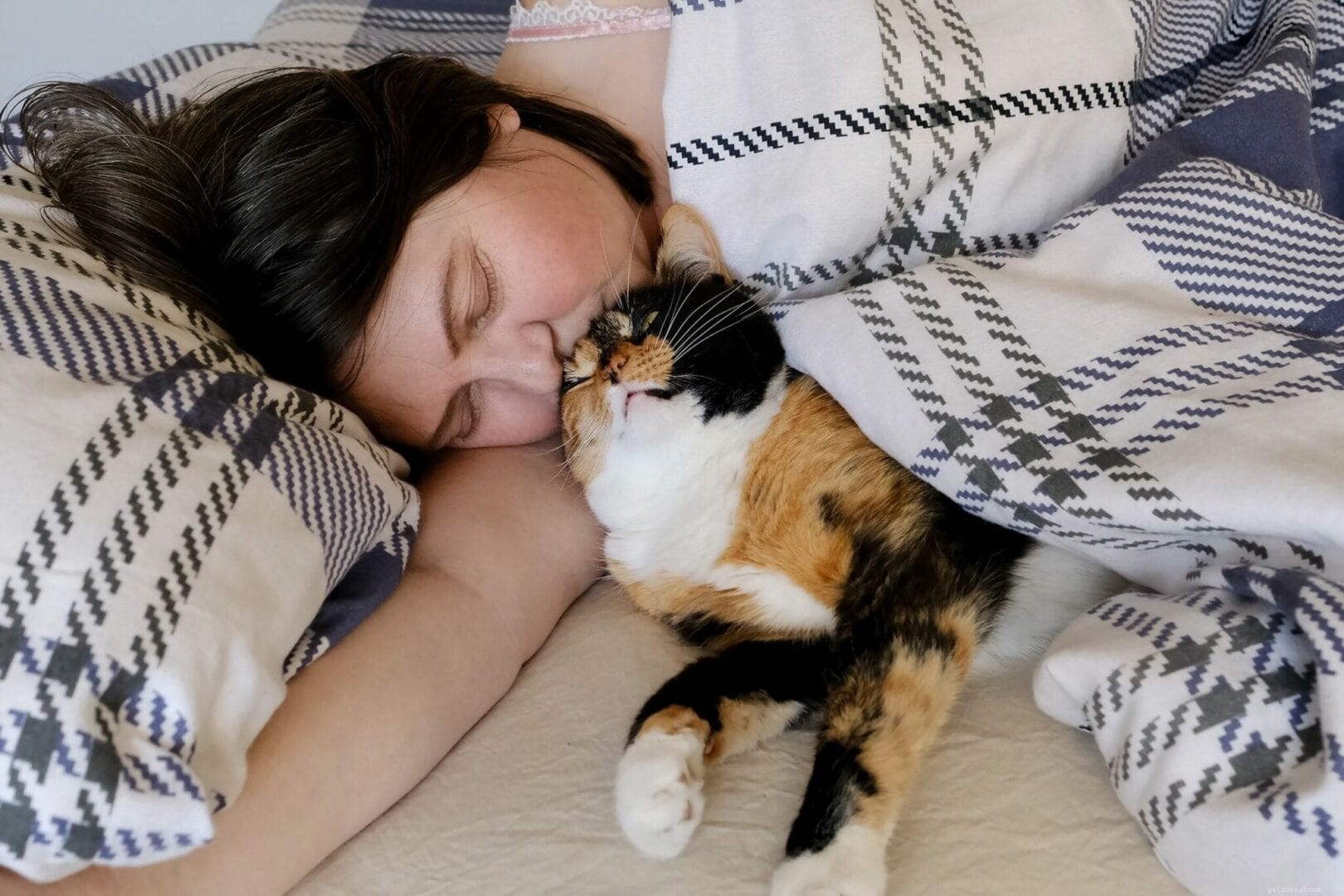Why Cats Prefer Sleeping Under Your Neck: Insights & Benefits