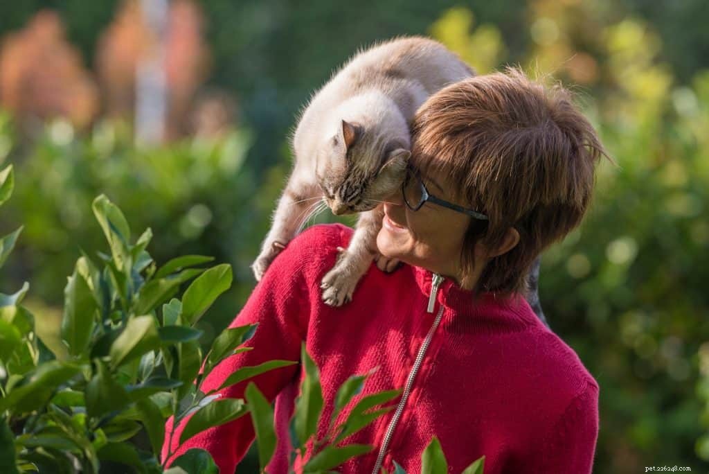 Can Cats Really Understand What We Say?