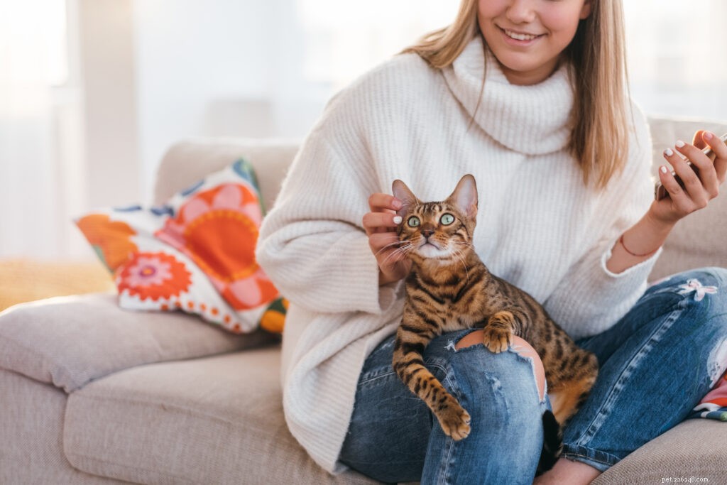 Why Is My Cat So Possessive? Understanding Normal Cat Attachment