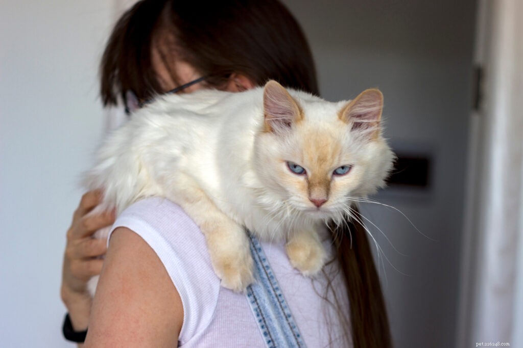 Why Your Cat May Dislike Your Partner: Understanding the Dynamics