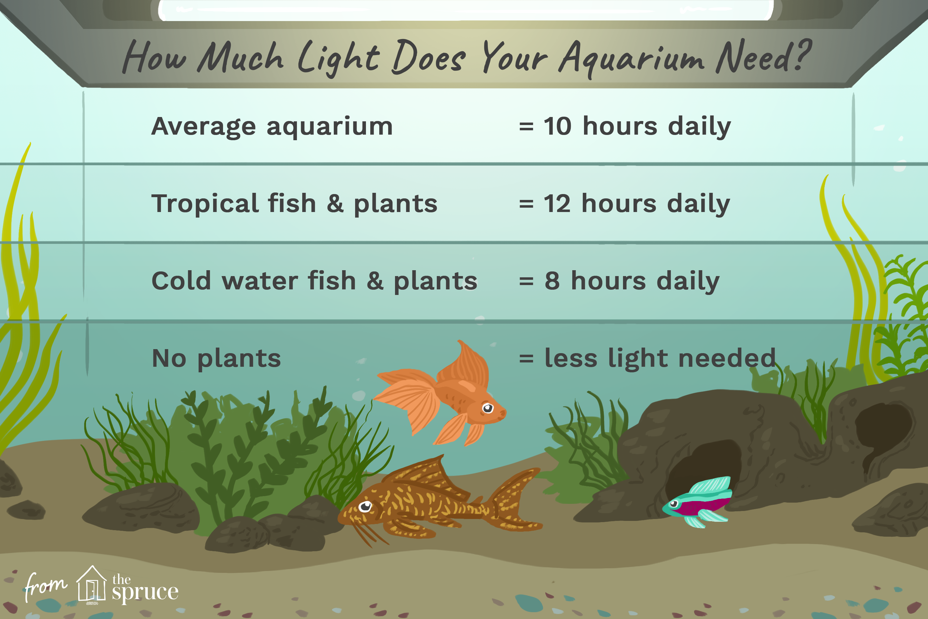 Mastering Aquarium Lighting: Tips for Healthy Fish & Vibrant Plants