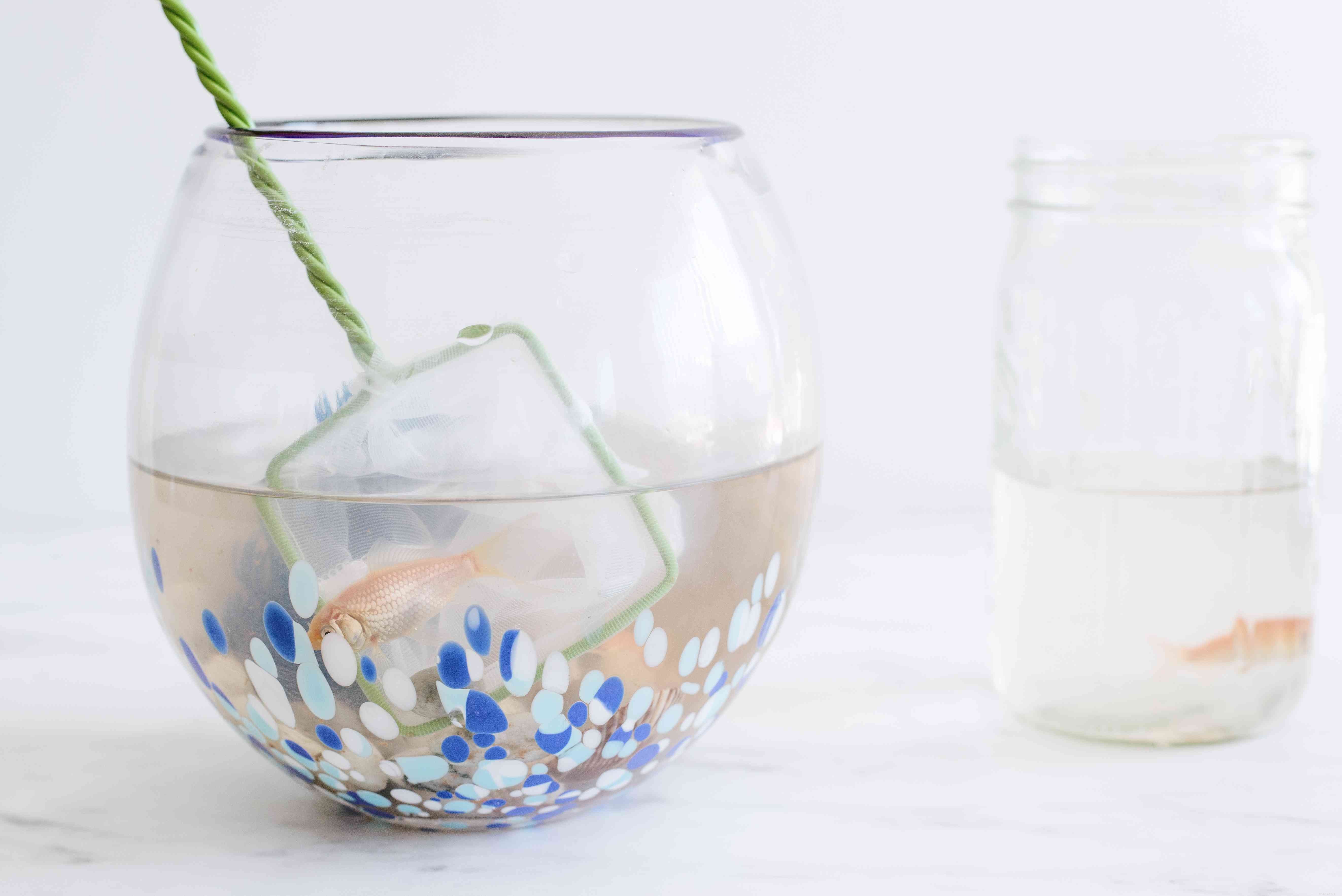 Step-by-Step Guide to Clean Your Fishbowl Safely and Effectively