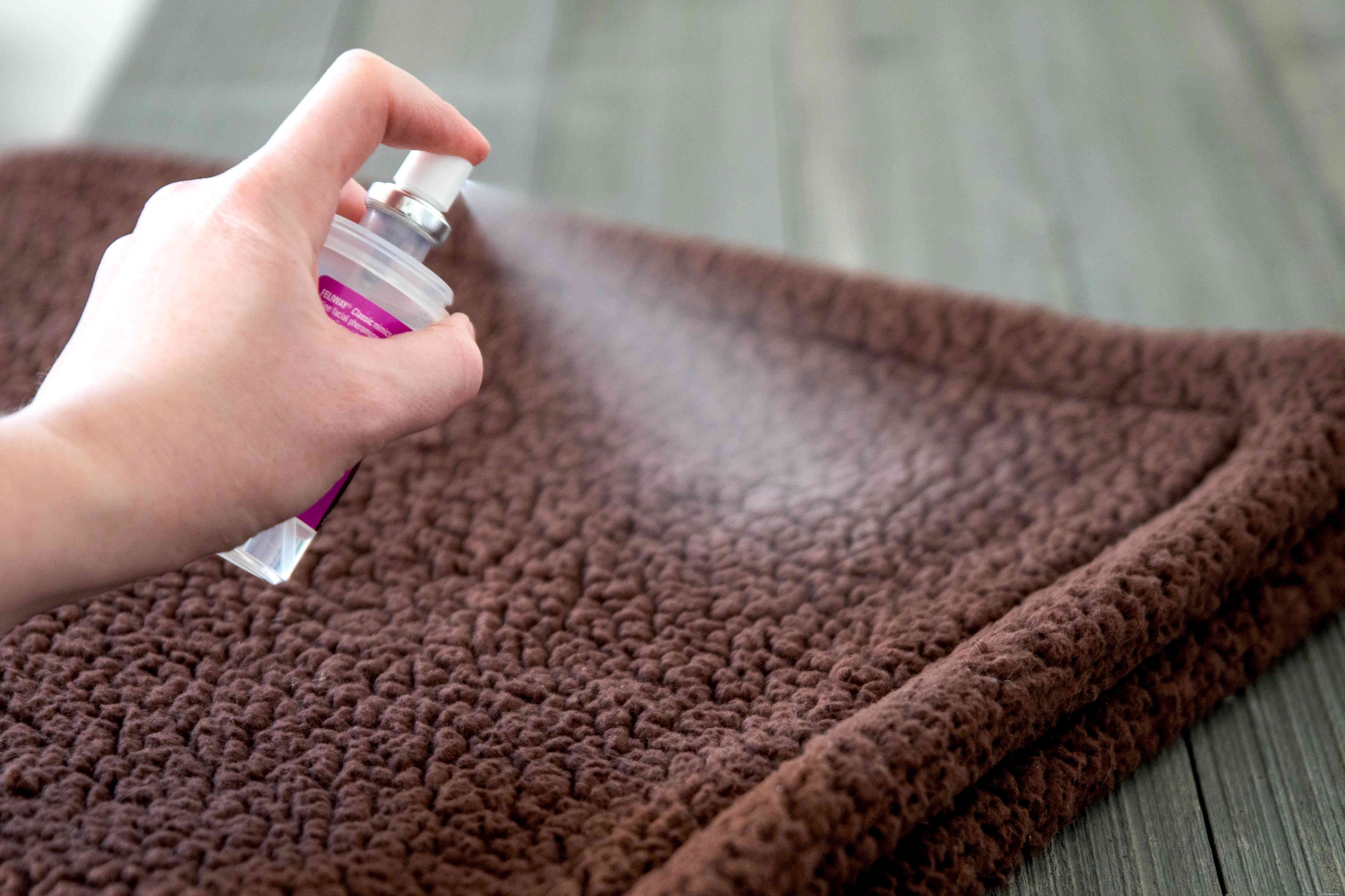 Why Cats Overgroom: Causes & Proven Solutions