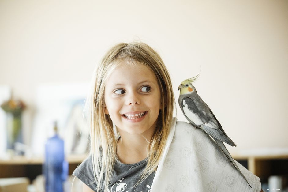 Top 7 Bird Species Ideal for Kids: Safe, Low-Allergen, and Easy to Care For