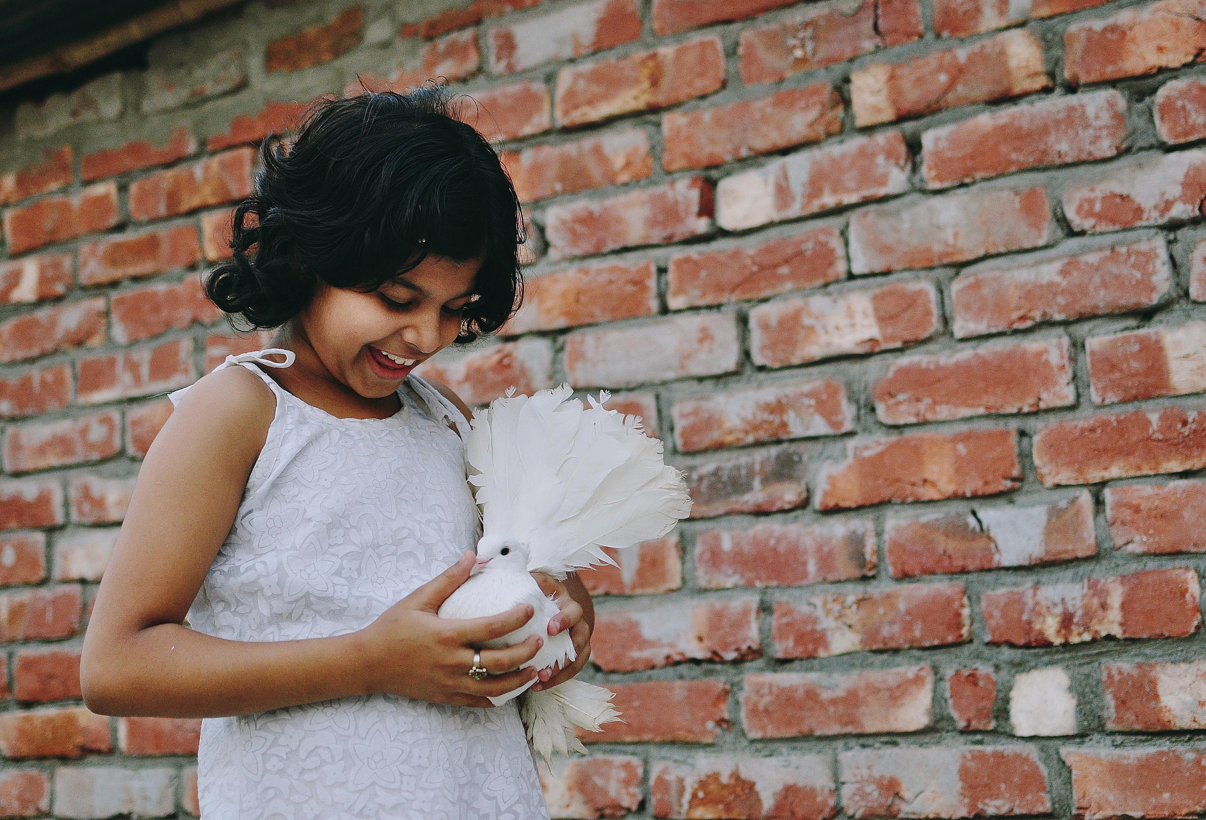 Top 8 Pet Birds Ideal for Busy Owners