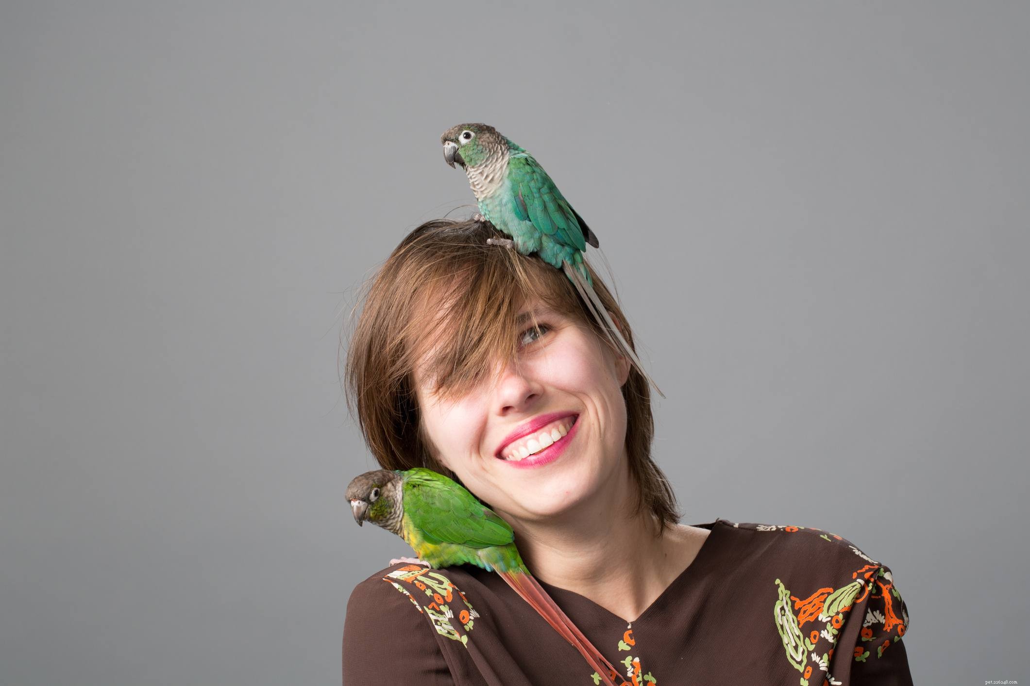 5 Reliable Ways to Find a New Home for Your Bird
