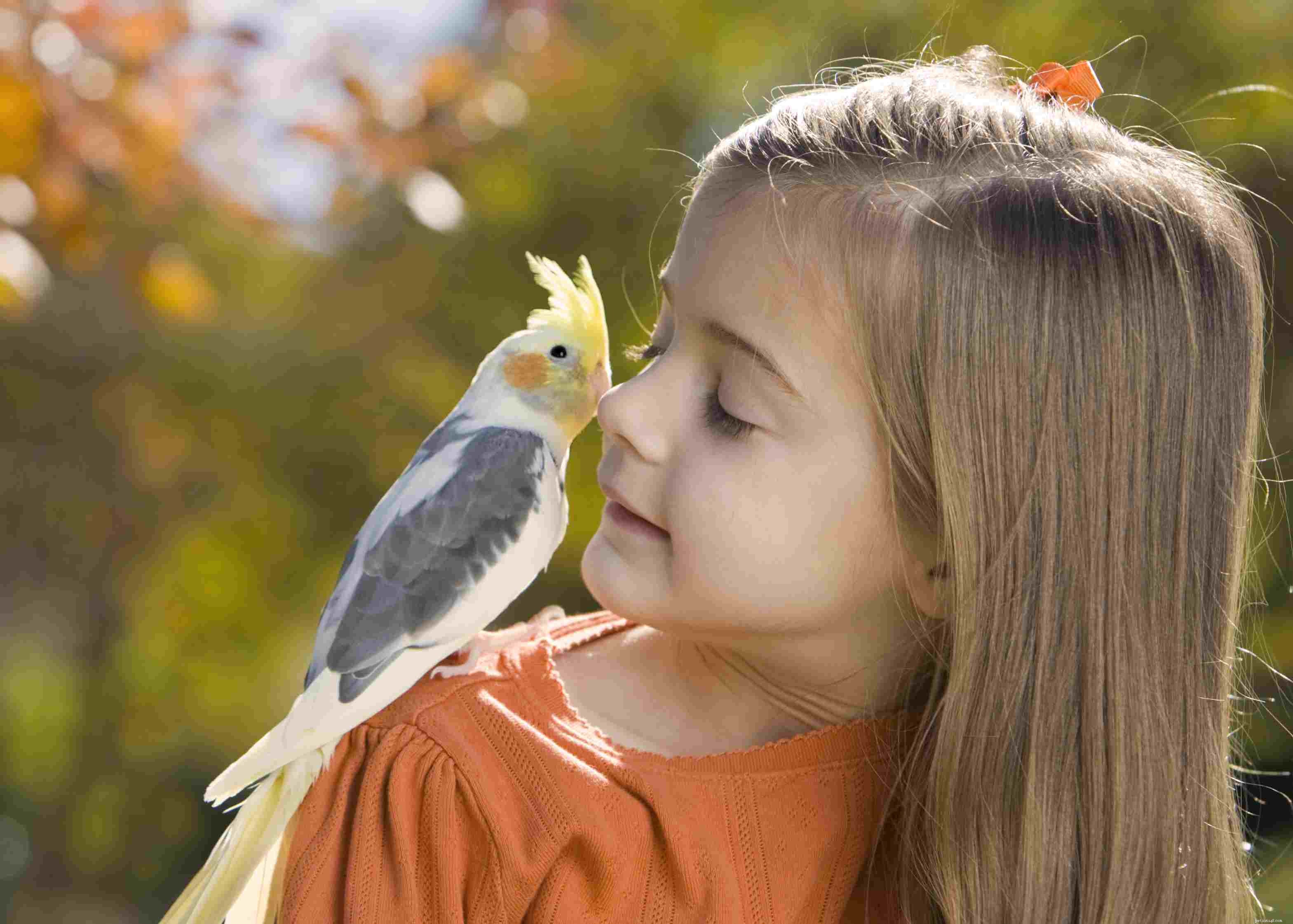 How to Build a Strong Bond with Your Bird: Easy, Proven Techniques