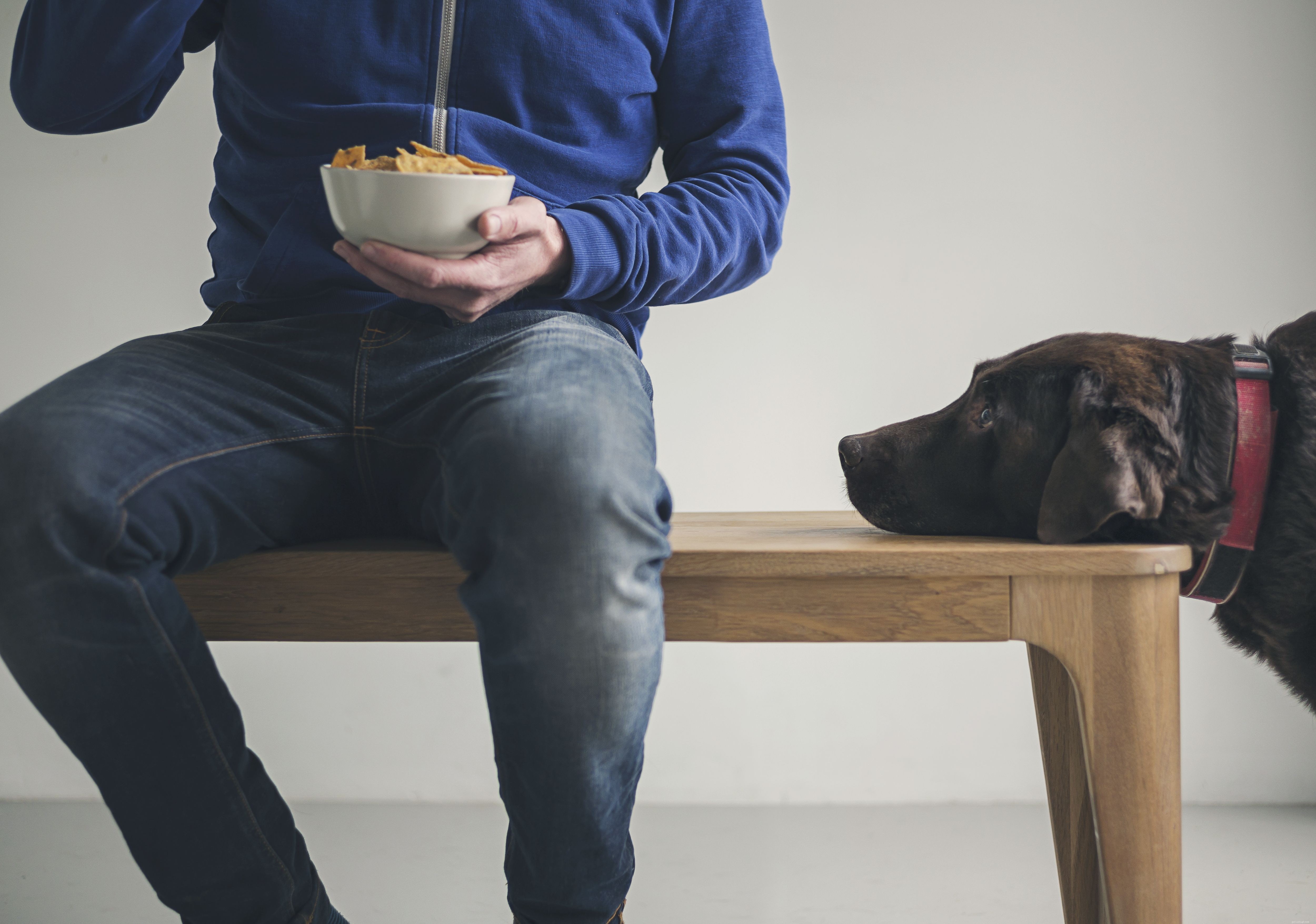 Understanding Your Dog s Whining: Causes & Effective Solutions