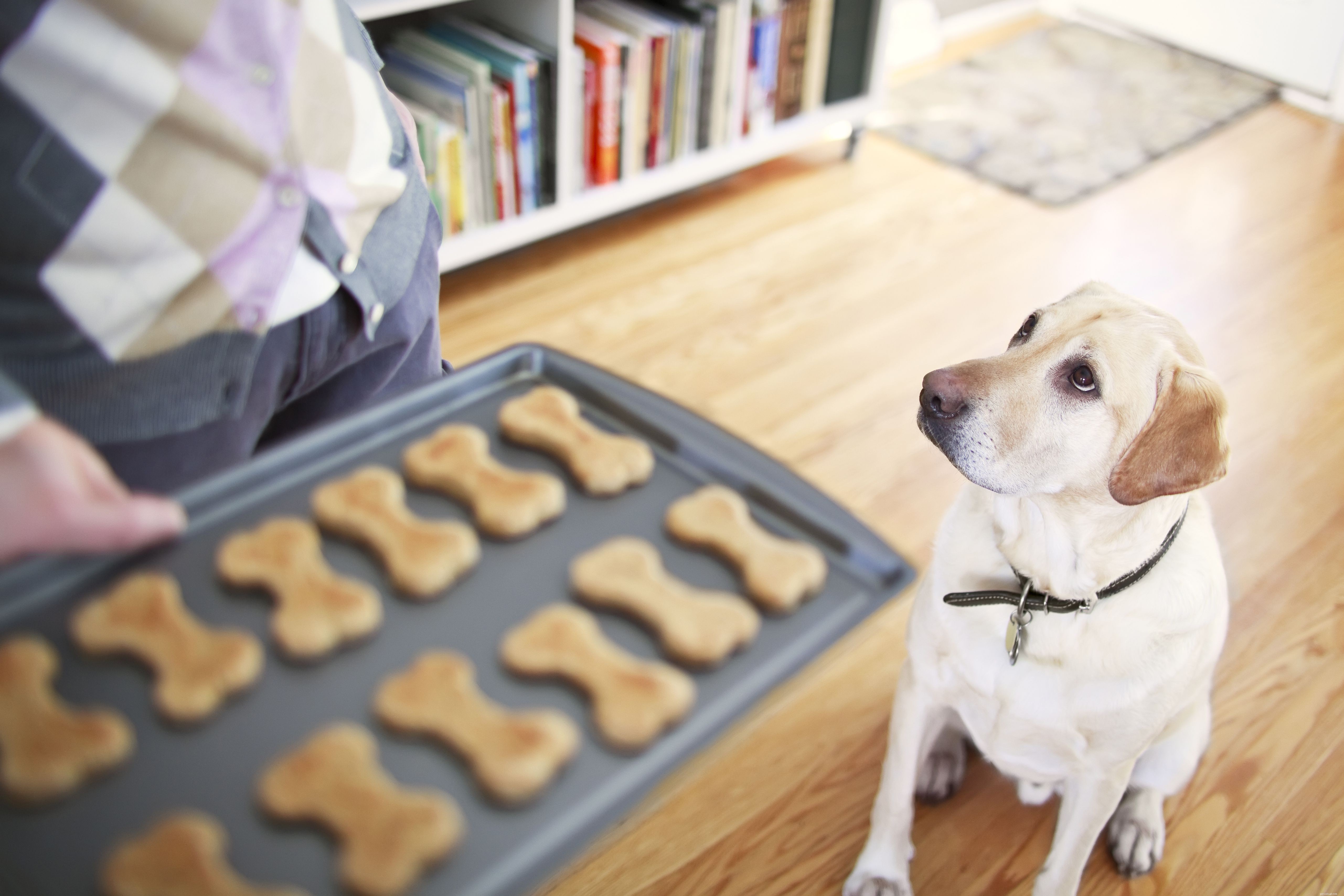 Understanding Your Dog s Whining: Causes & Effective Solutions