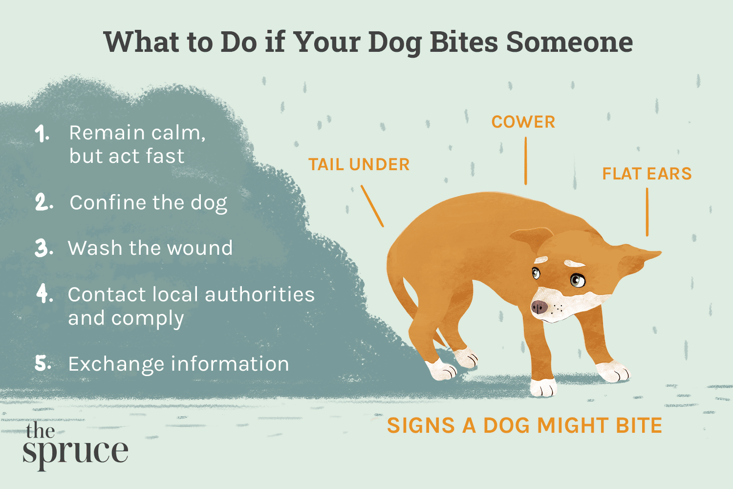 Prevent Dog Bites: Proven Strategies for Safer Interactions