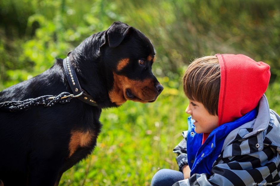 Prevent Dog Bites: Proven Strategies for Safer Interactions