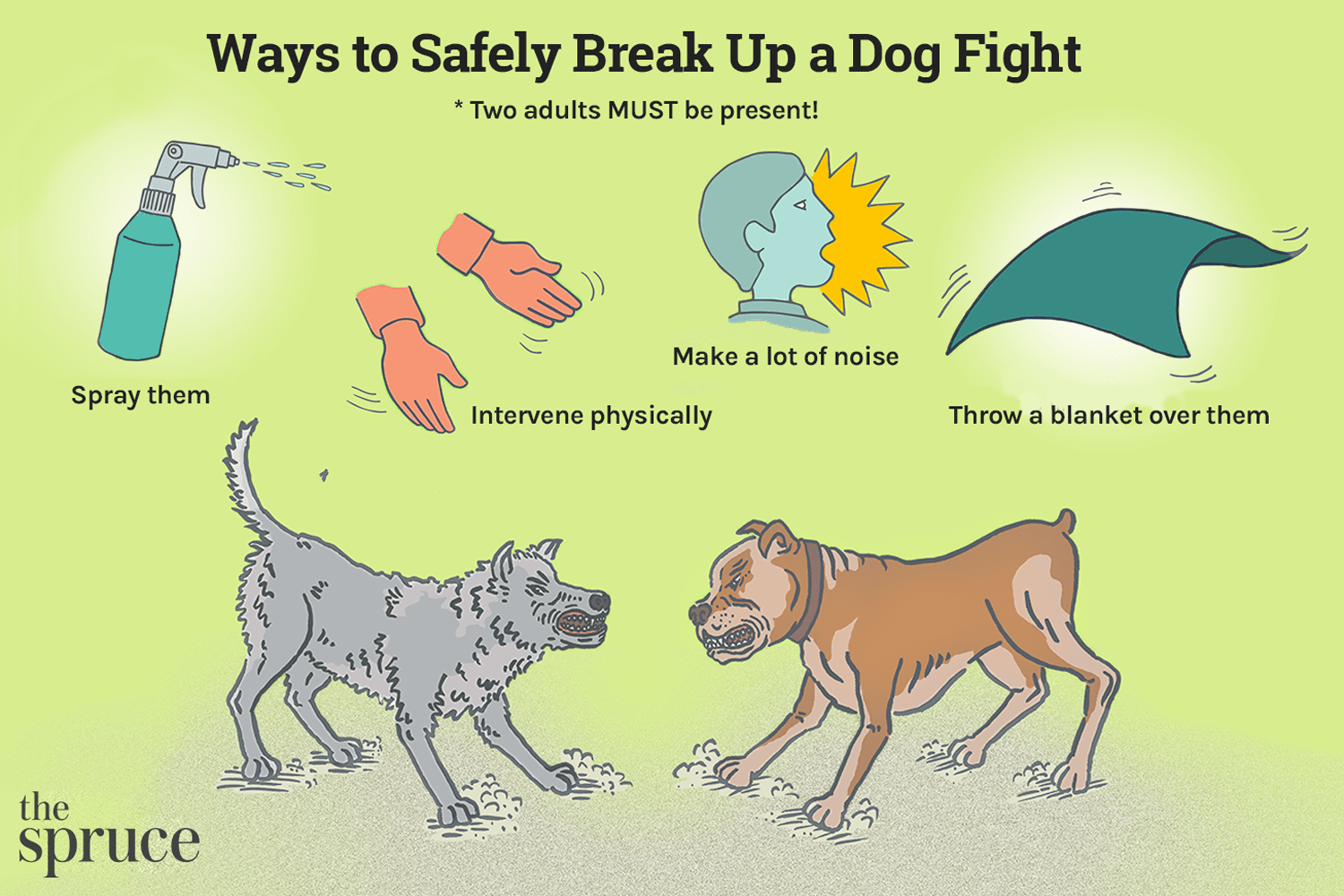 Understanding Dog Aggression: Causes, Prevention, and Safe Intervention Strategies