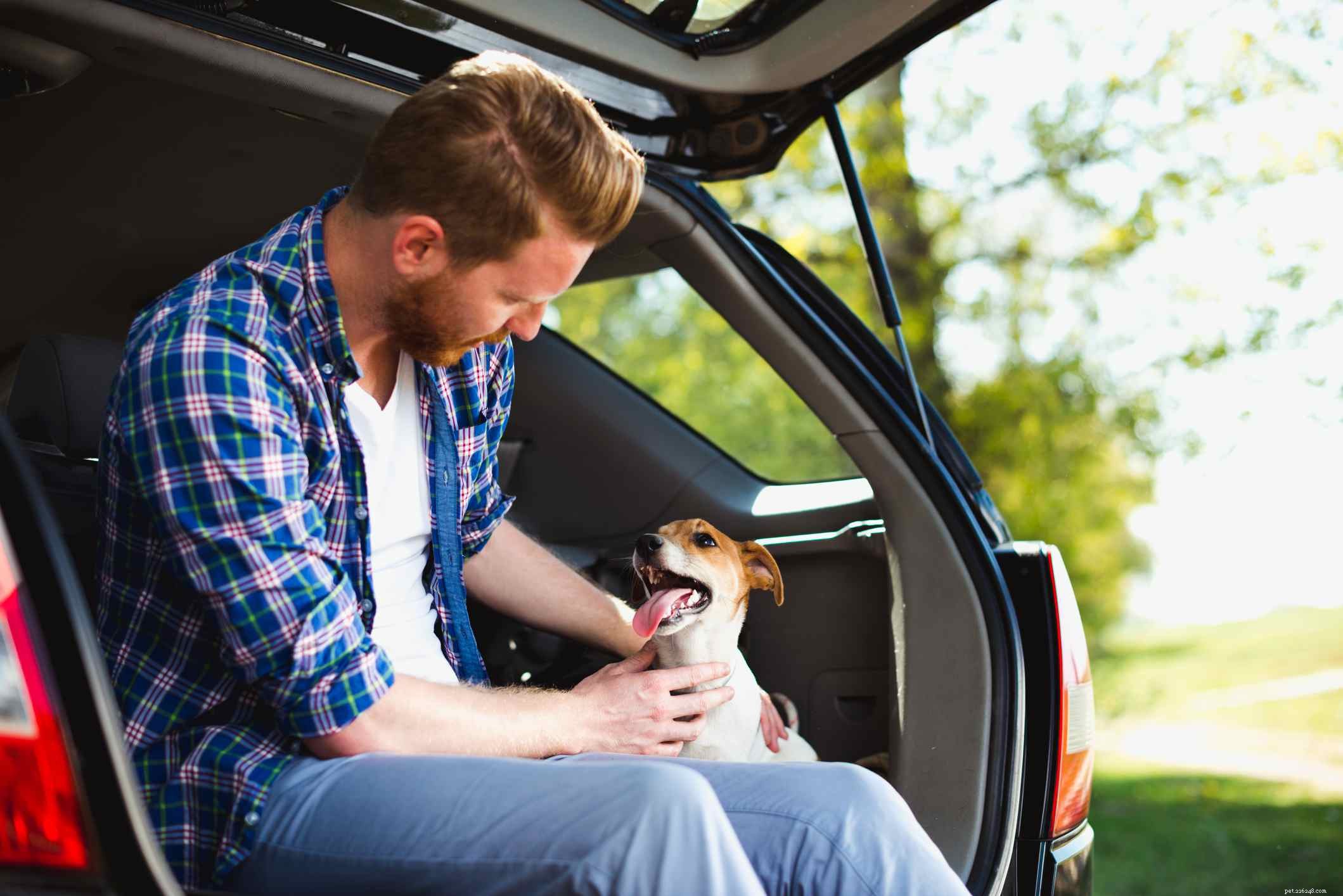 Conquering Your Dog s Fear of Car Rides: Simple Steps to Comfort and Safety