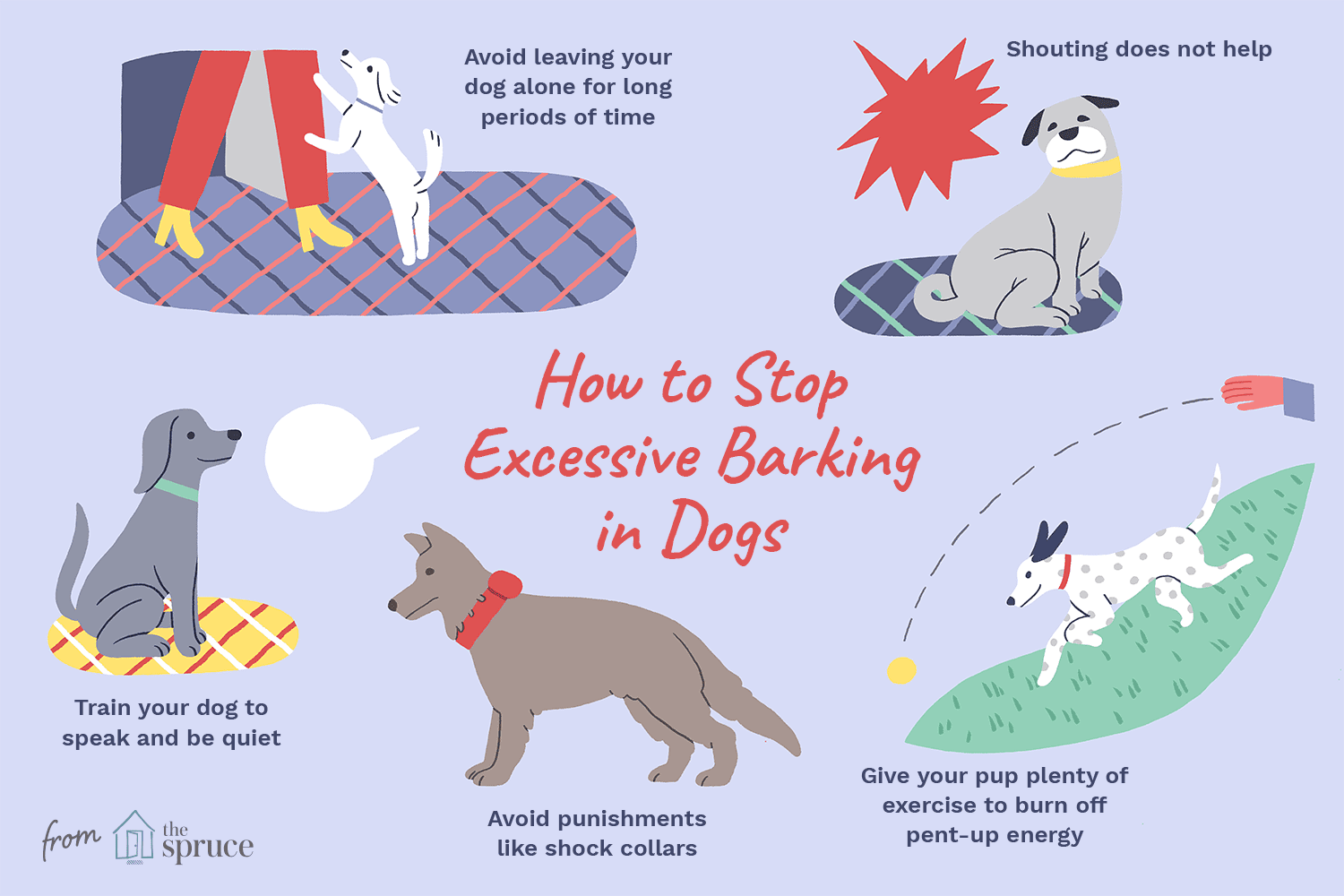 Effective Ways to Quiet Your Dog’s Excessive Barking