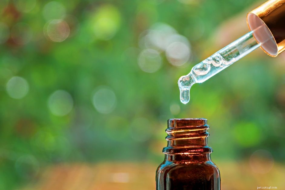 Tea Tree Oil vs. Fleas: Proven Effectiveness & Safety Guide