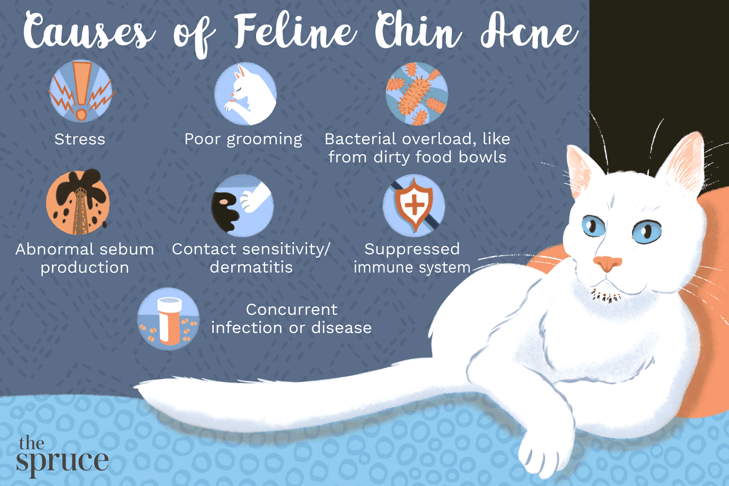 Chin Acne in Cats: Causes, Symptoms, and Effective Treatments