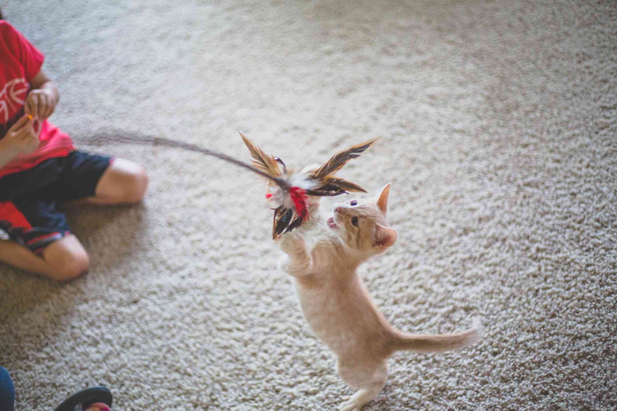 Prevent Kitten Scratching & Biting: Proven Strategies for Gentle Play