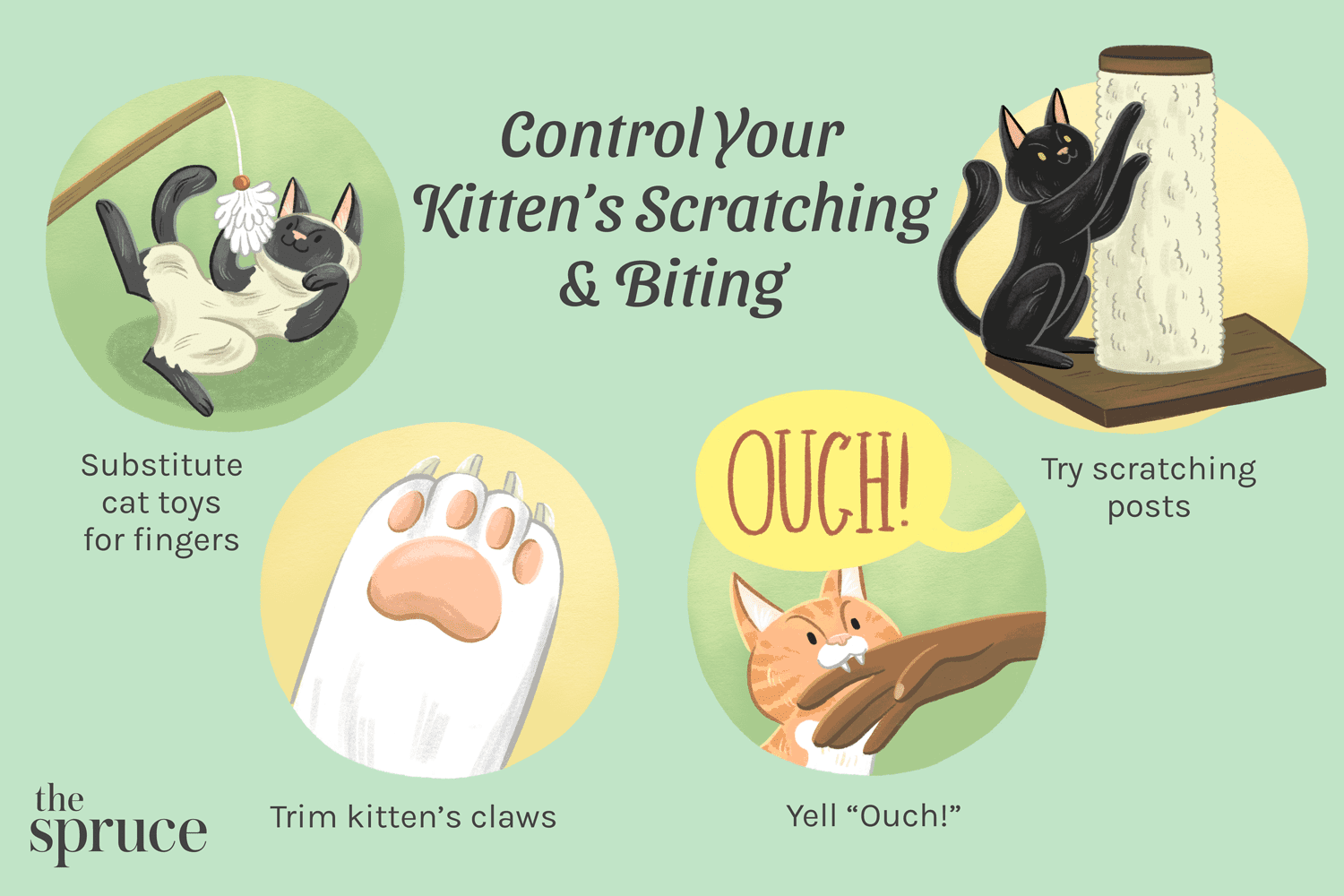 Prevent Kitten Scratching & Biting: Proven Strategies for Gentle Play