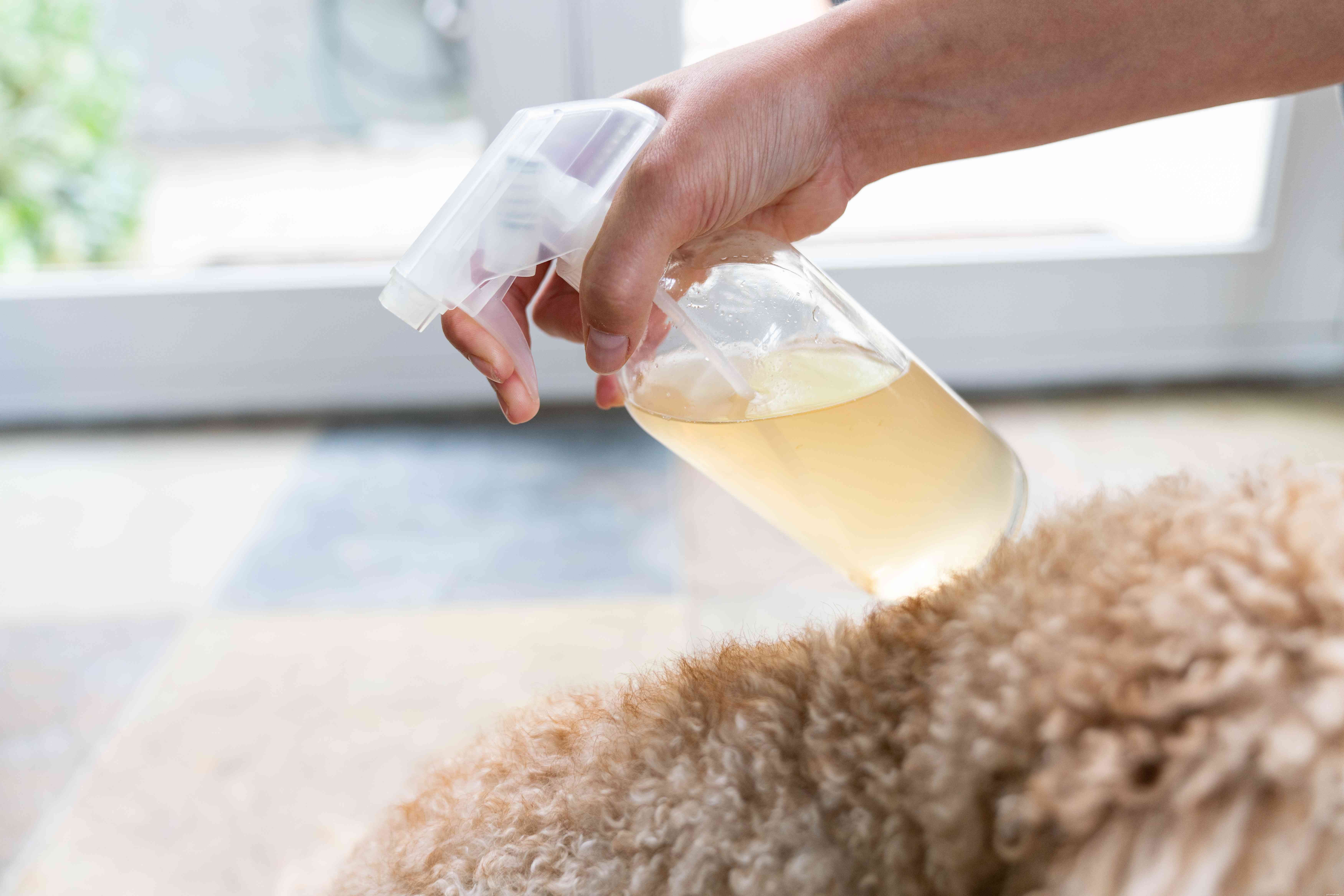 7 Proven Natural Remedies to Relieve Itchy Skin in Dogs