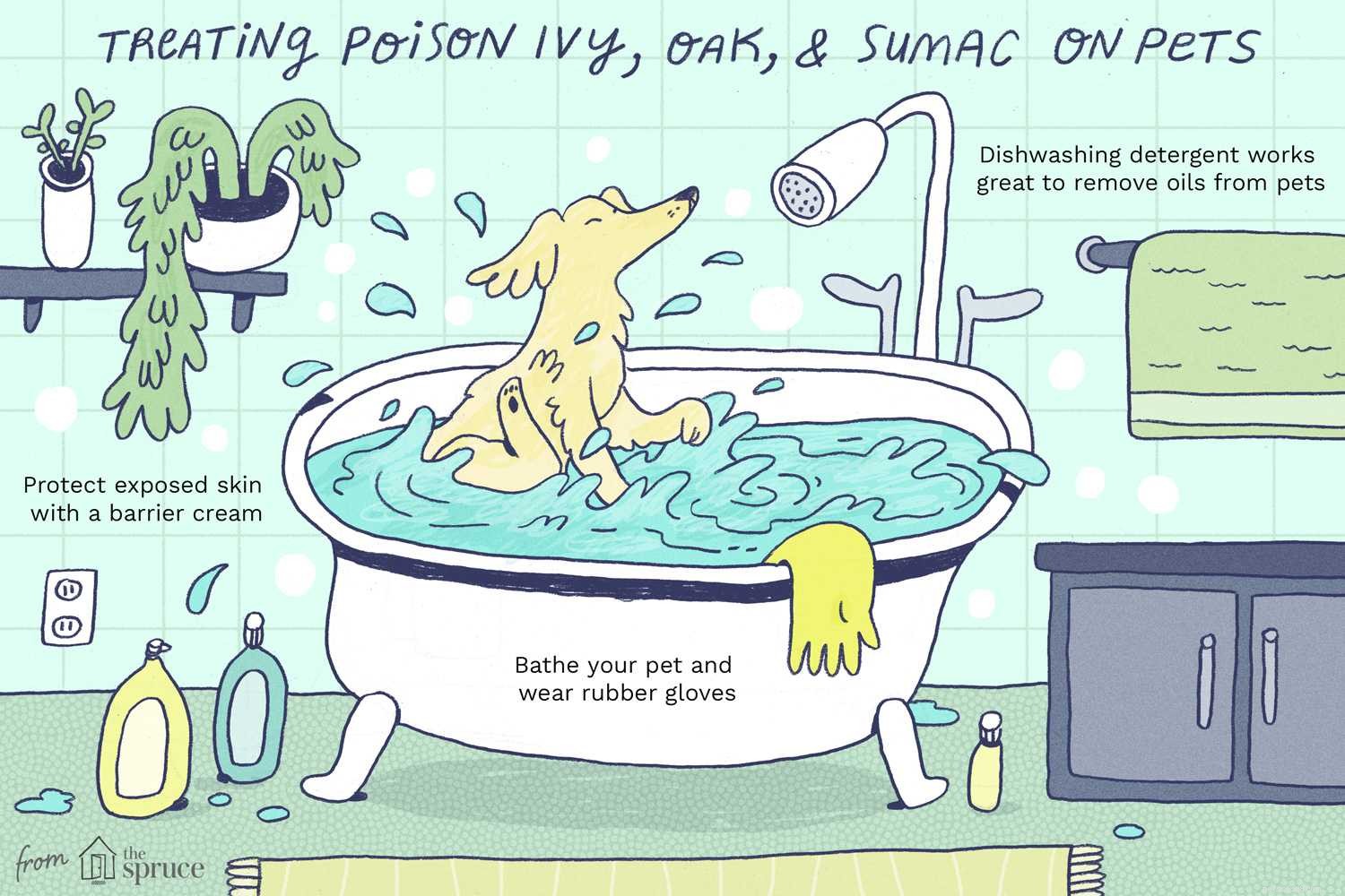 Removing Poison Ivy, Oak, and Sumac from Pets