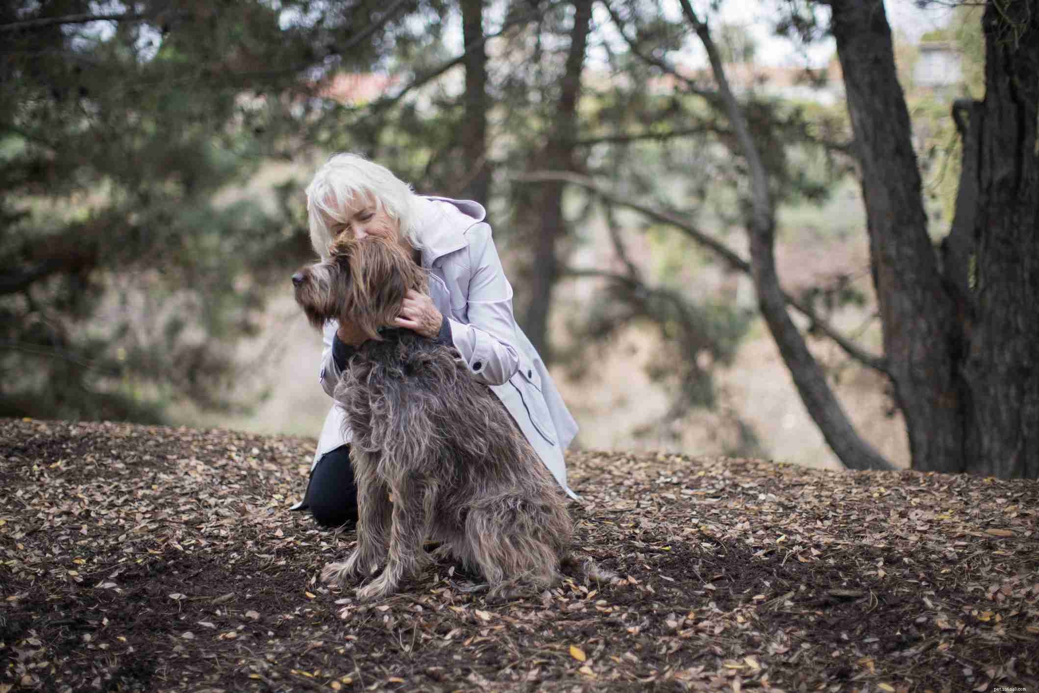 10 Essential Dog Health Problems Every Owner Should Know
