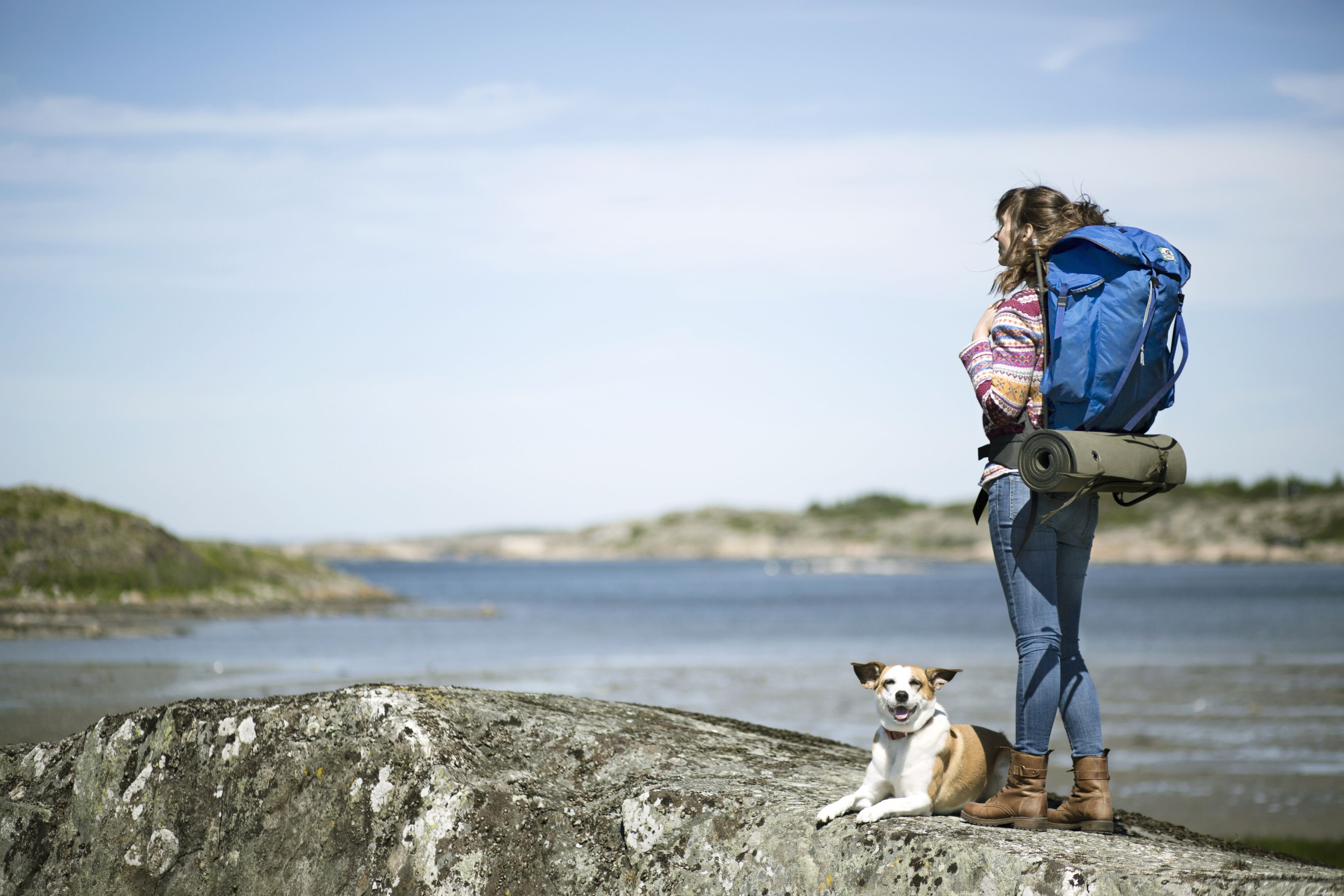 Top Proven Exercises to Keep Your Dog Healthy and Happy