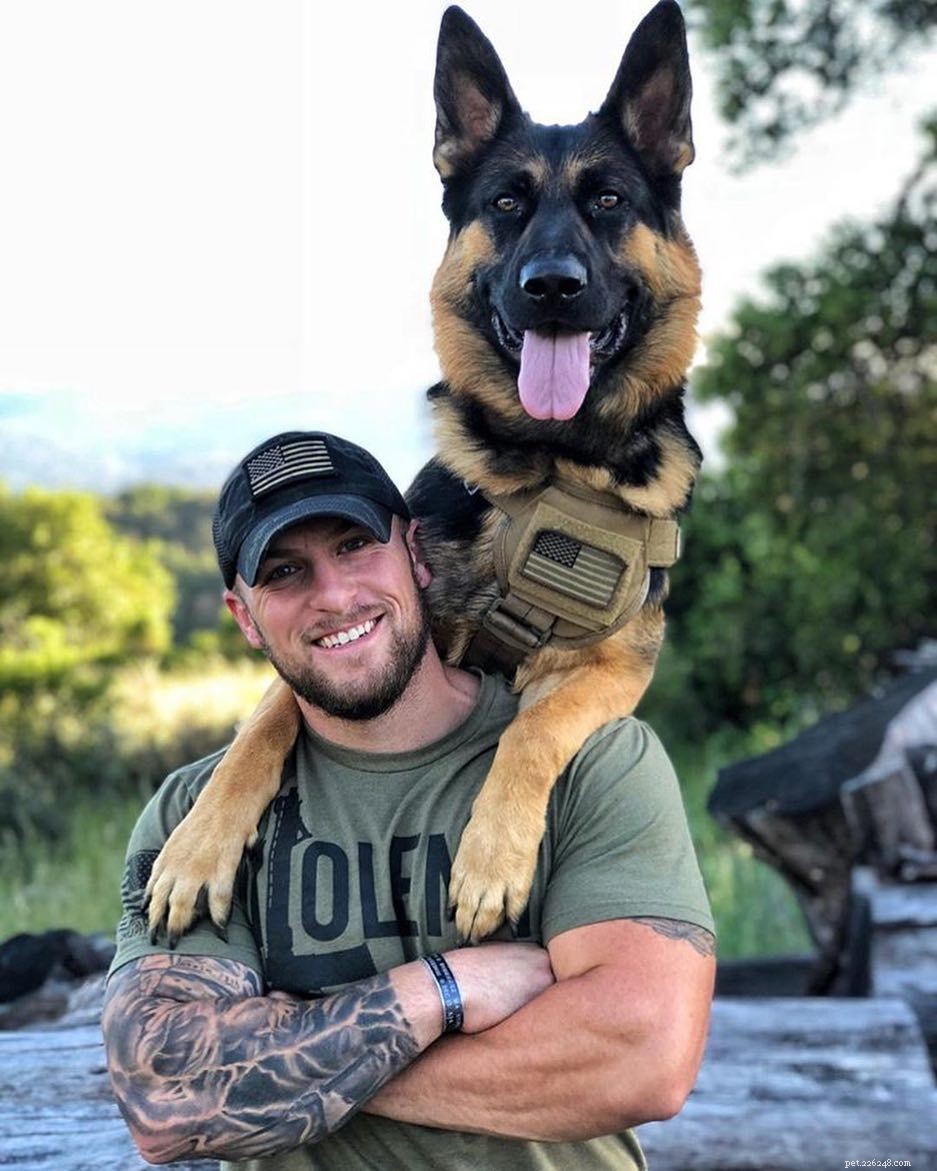 16 Stunning German Shepherds & Puppies: Heartwarming Photos & Fun Facts