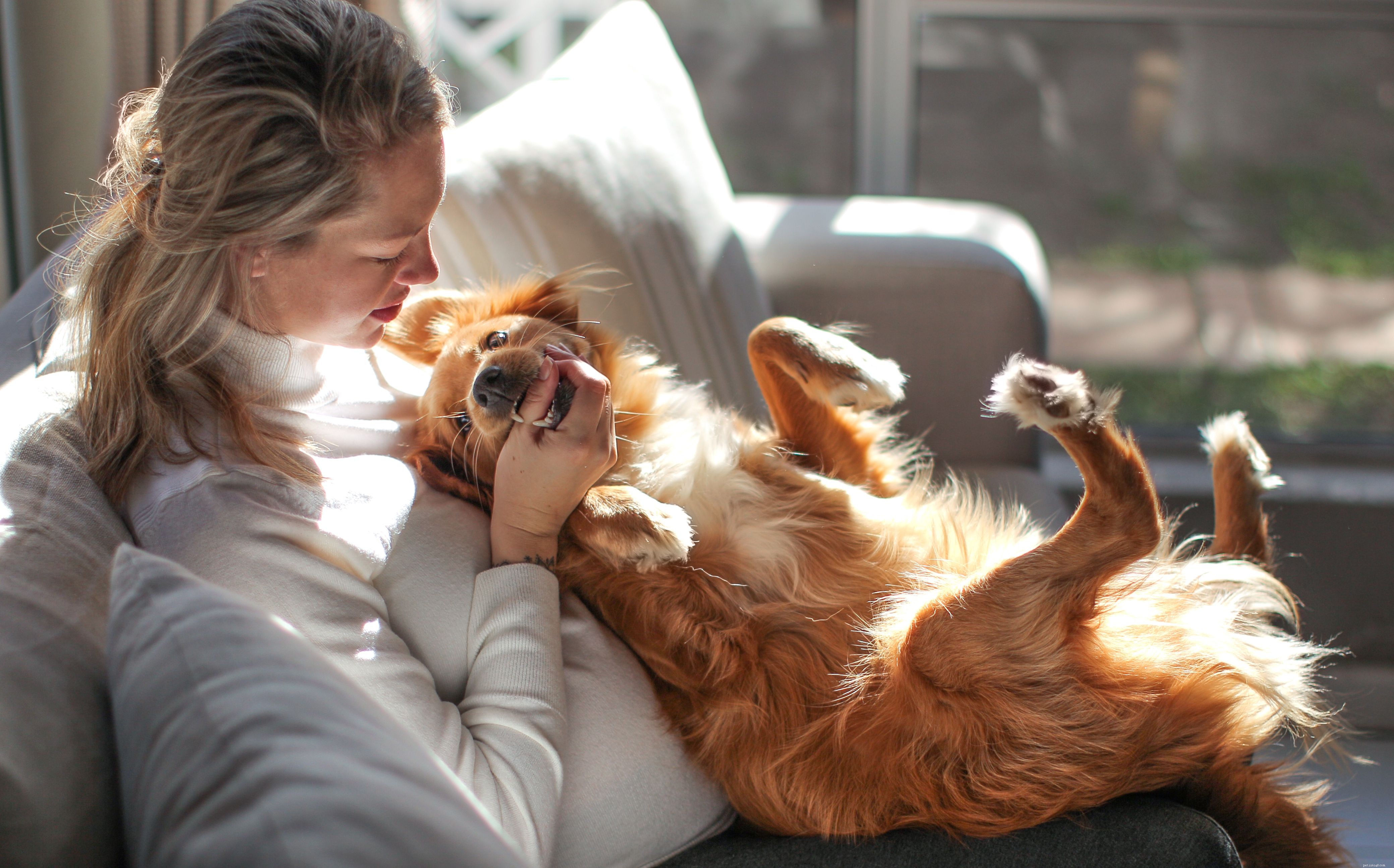 Complete Guide to Puppy Dental Care: Teeth, Age, and Health Tips