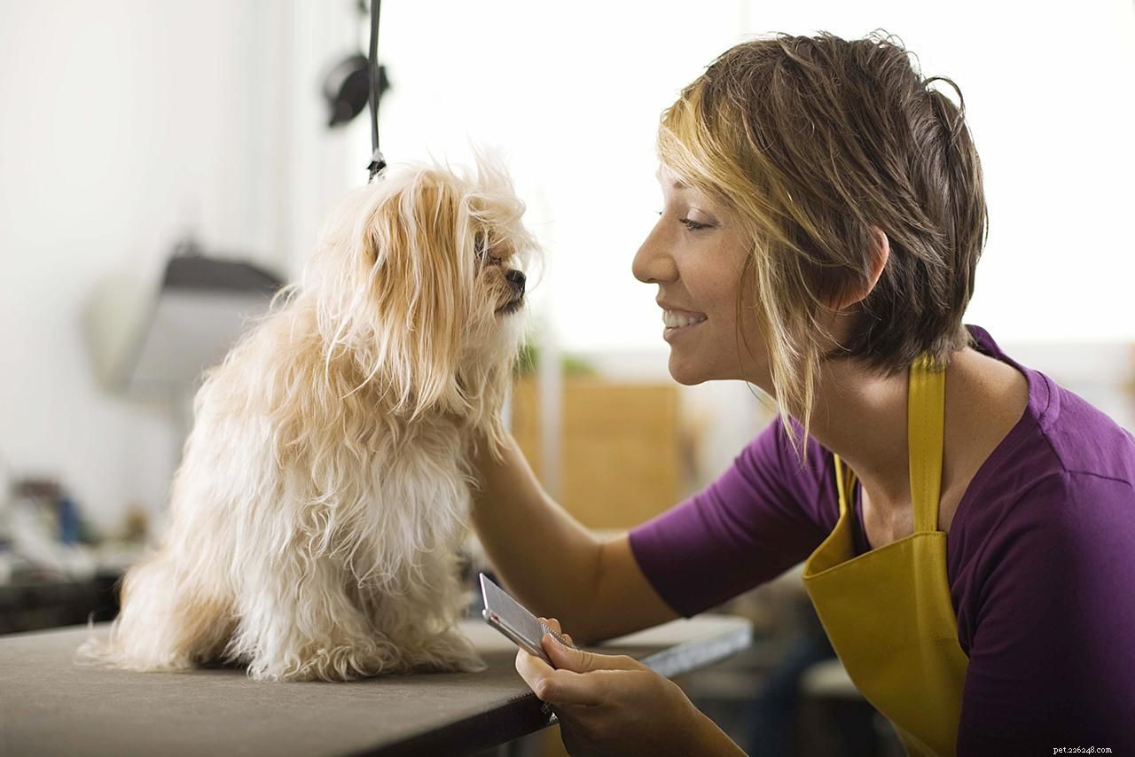 Complete Guide to Grooming Your Puppy for Health and Happiness