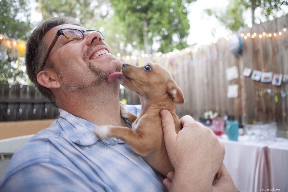 Understanding and Managing Hypoglycemia in Puppies: Causes, Symptoms, and Care