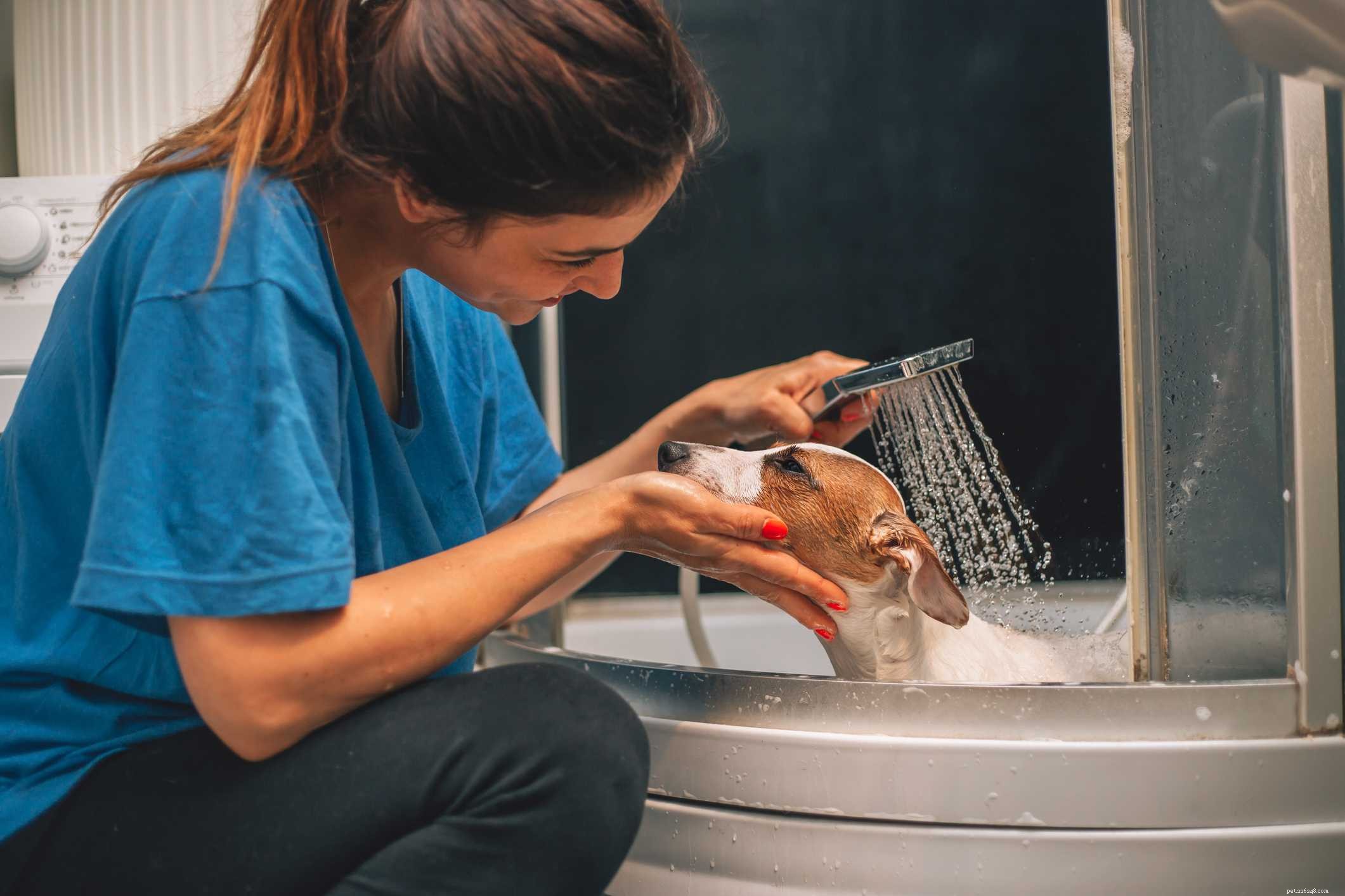 Effective Ways to Ease Itchy Skin in Dogs with Atopy and Allergies
