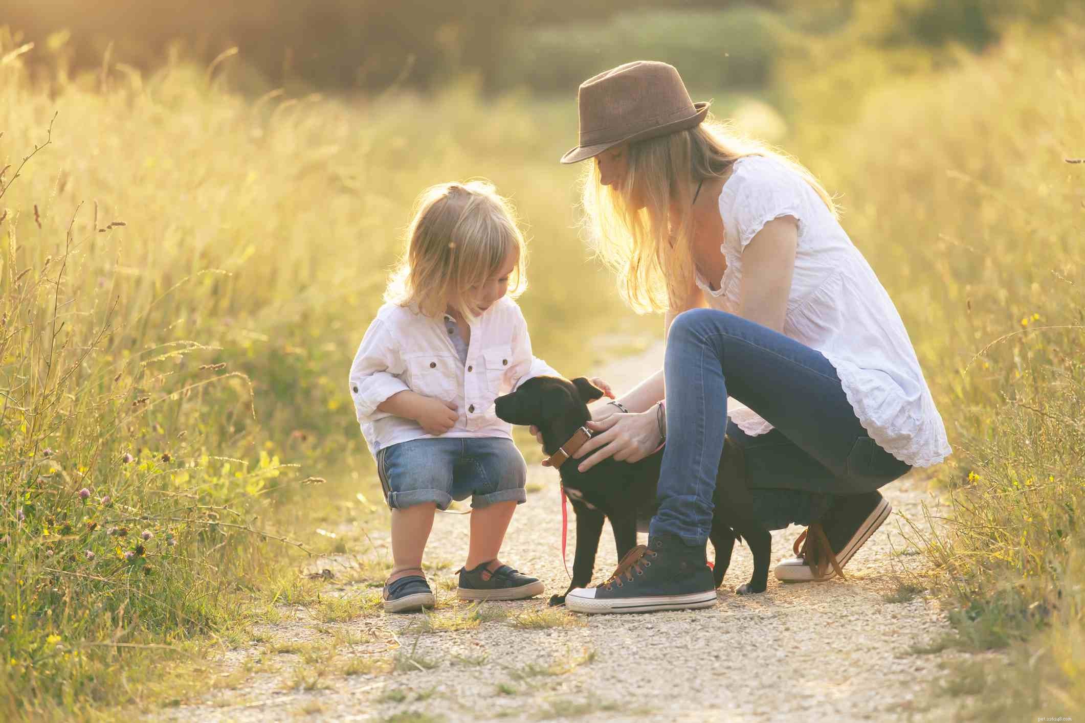Master Puppy Communication: Speak Dog Language Like a Pro