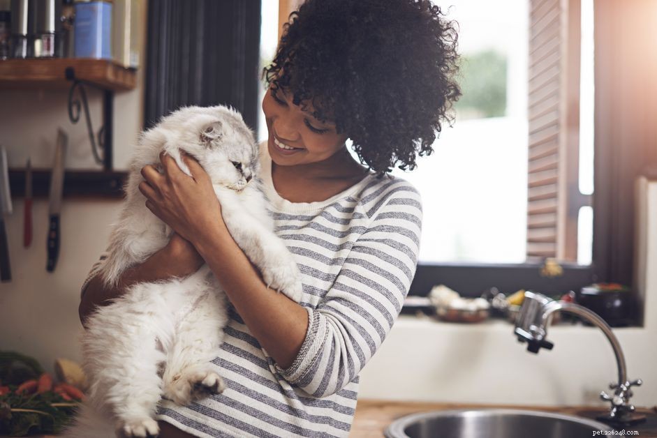Understanding the Domestic Cat: Characteristics, History, and Roles