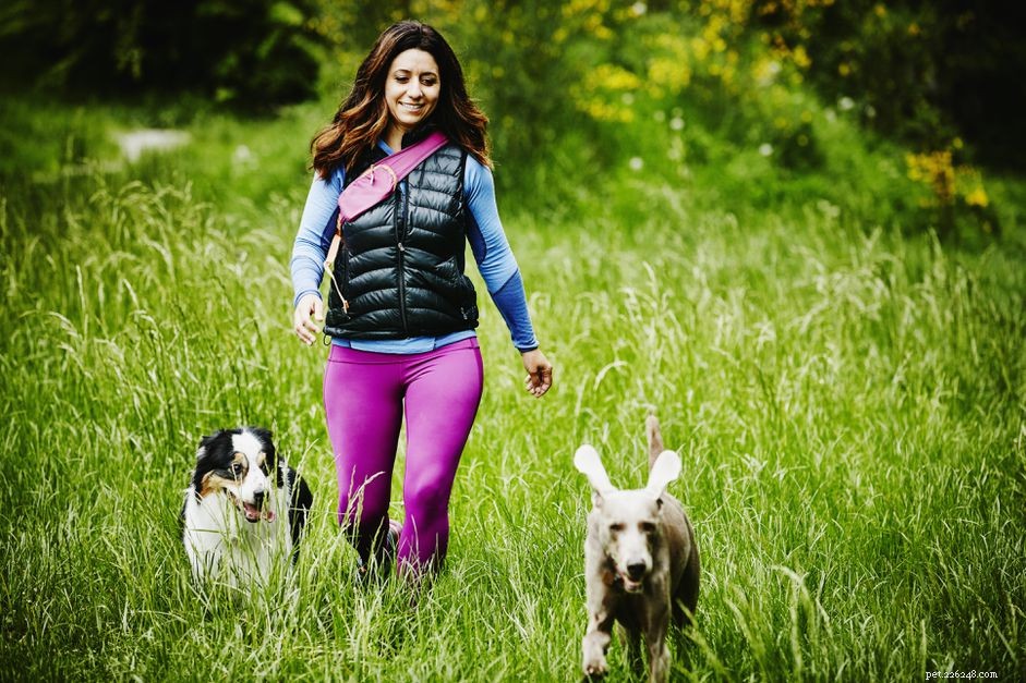 Train Your Dog for Safe, Off‑Leash Freedom: Proven Techniques