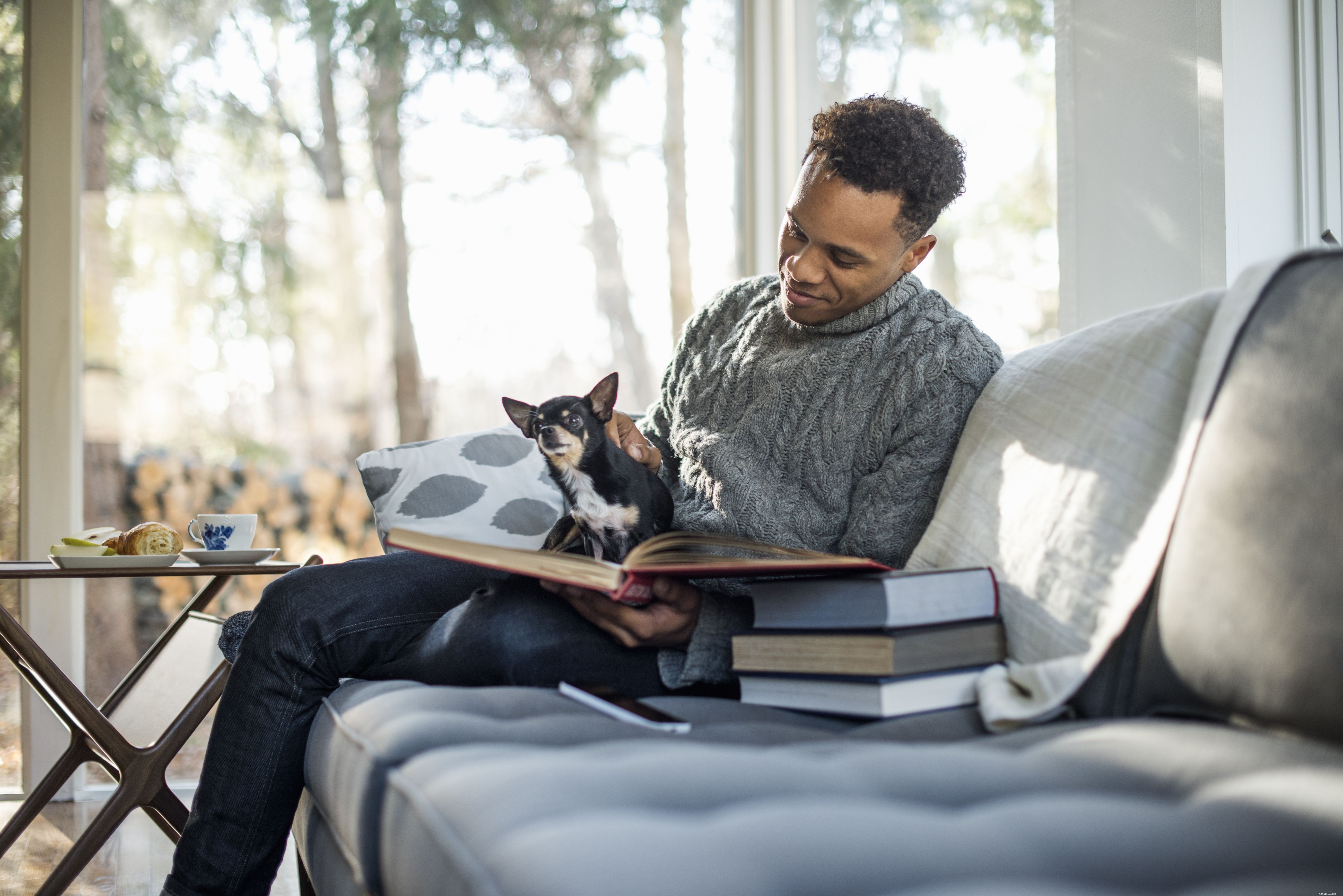 Avoid These 10 Dog Training Mistakes for Faster Results