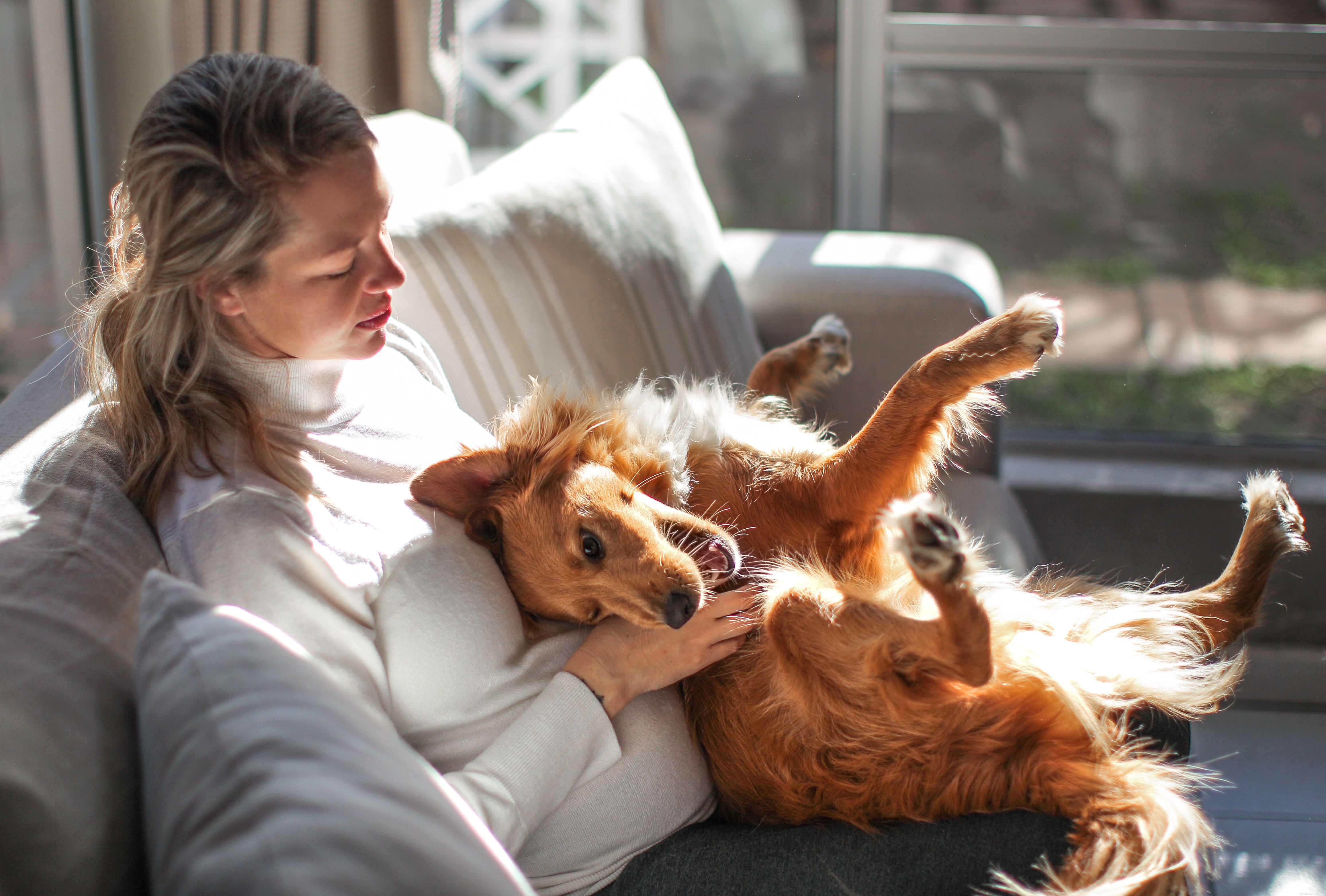 Avoid These 10 Dog Training Mistakes for Faster Results