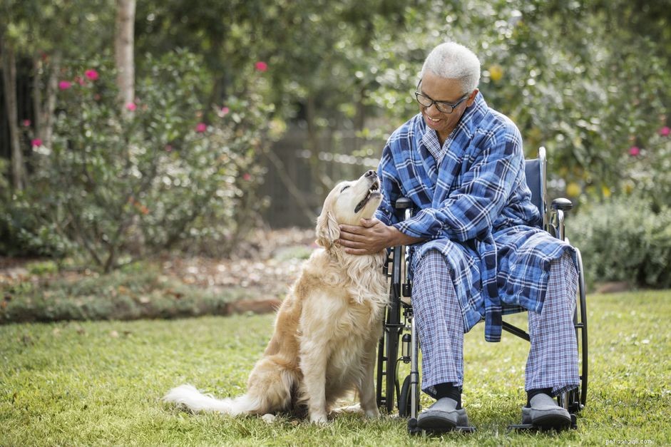 Train Your Dog to Become a Trusted Therapy Animal