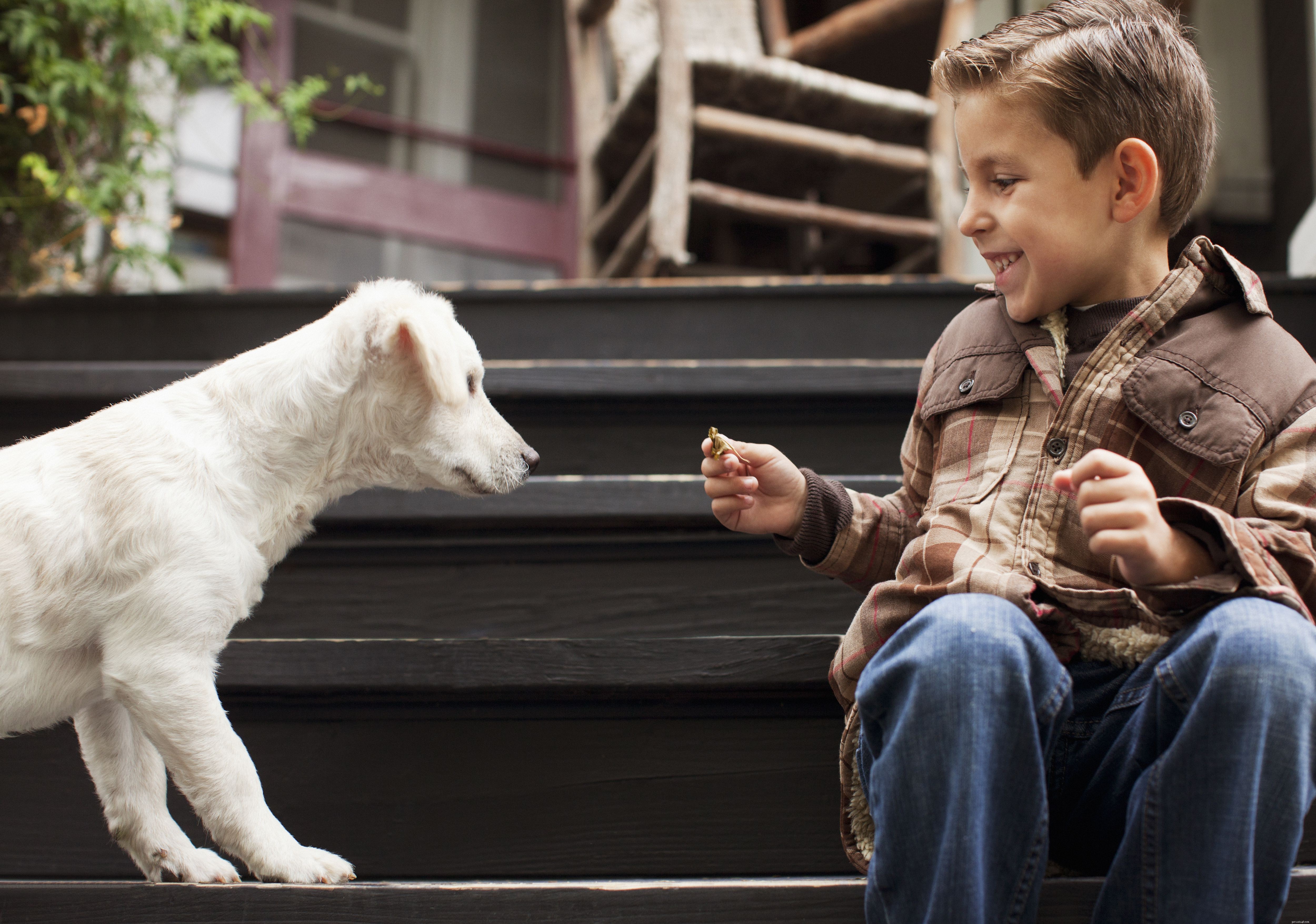 10 Proven Ways to Safely Coexist with Your Dog and Children