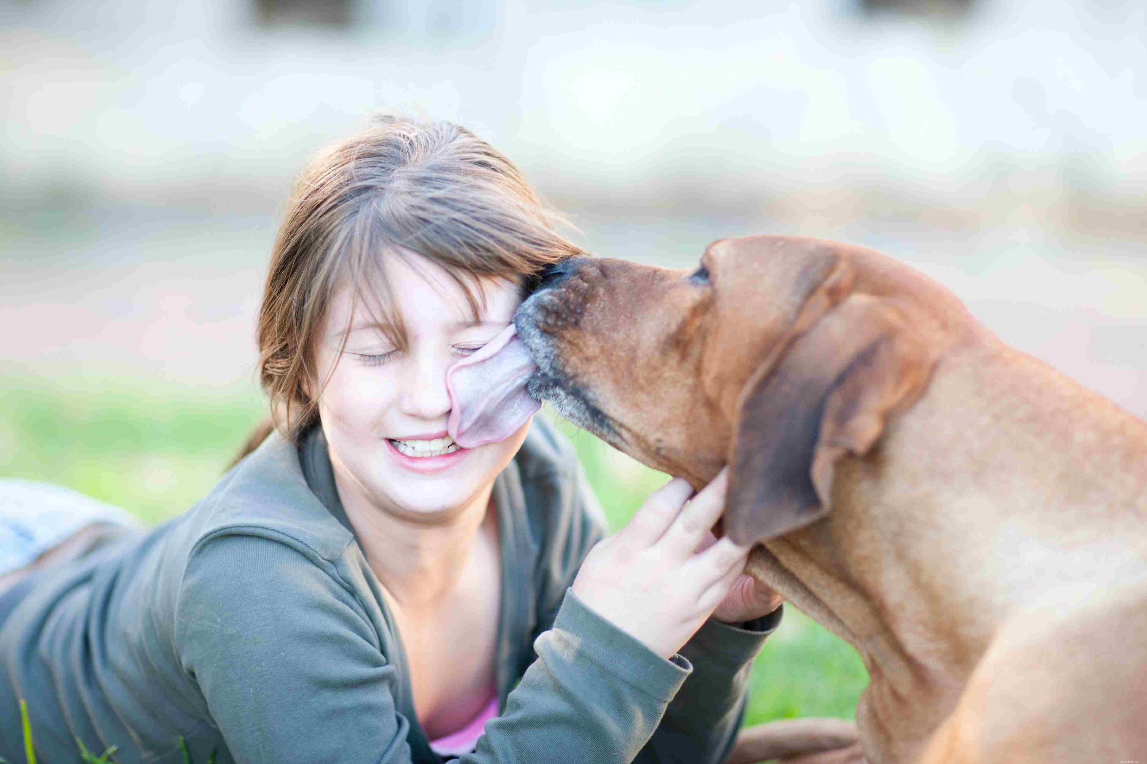 Decoding Dog Behavior: What Every Owner Should Know
