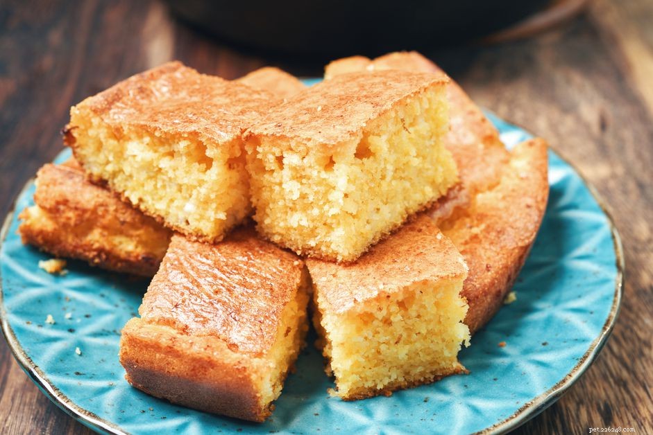 Can Dogs Safely Eat Cornbread? Expert Tips on Ingredients & Portions