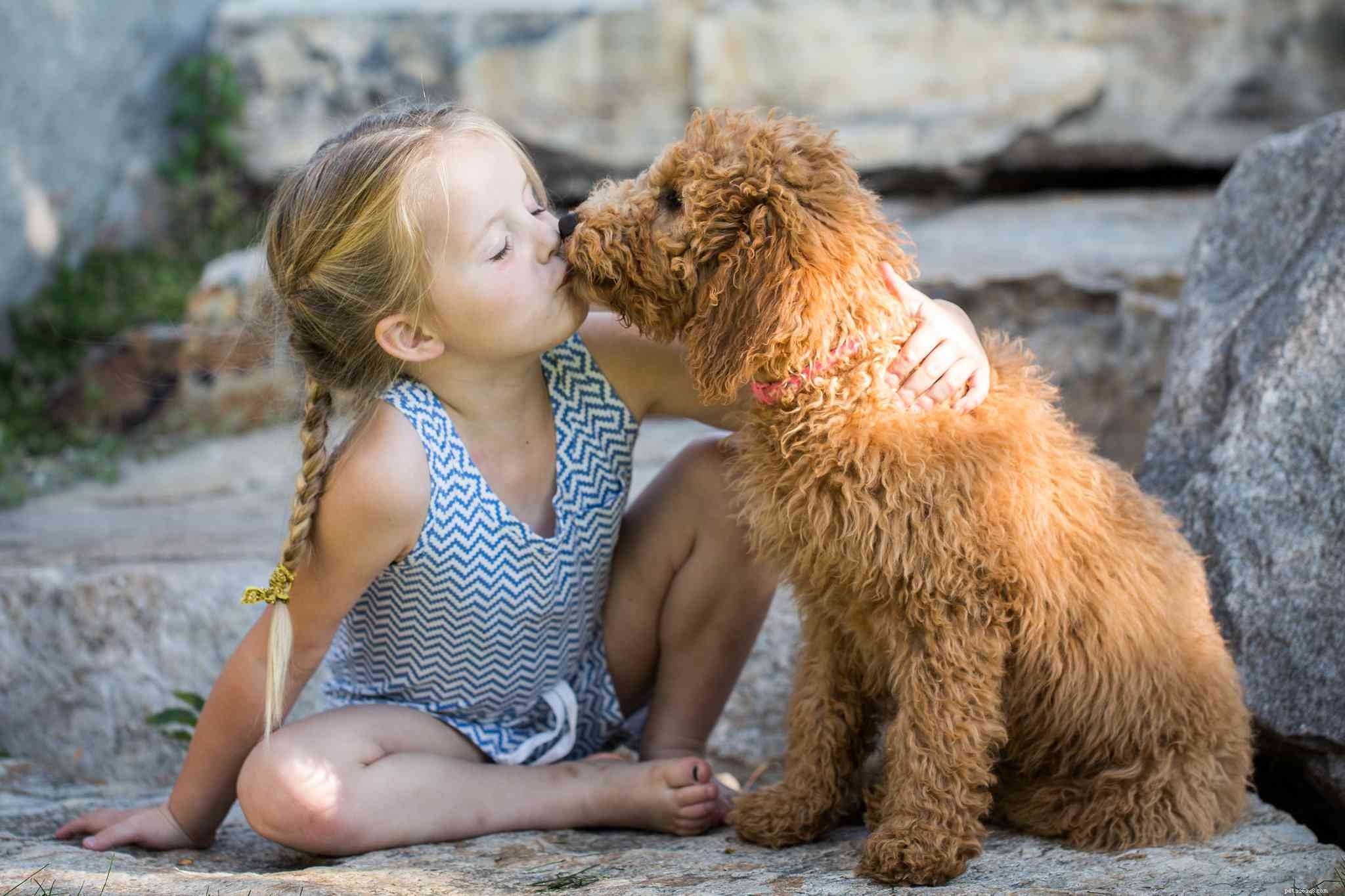 12 Essential Facts About Goldendoodles: Traits, Care, and Family Compatibility