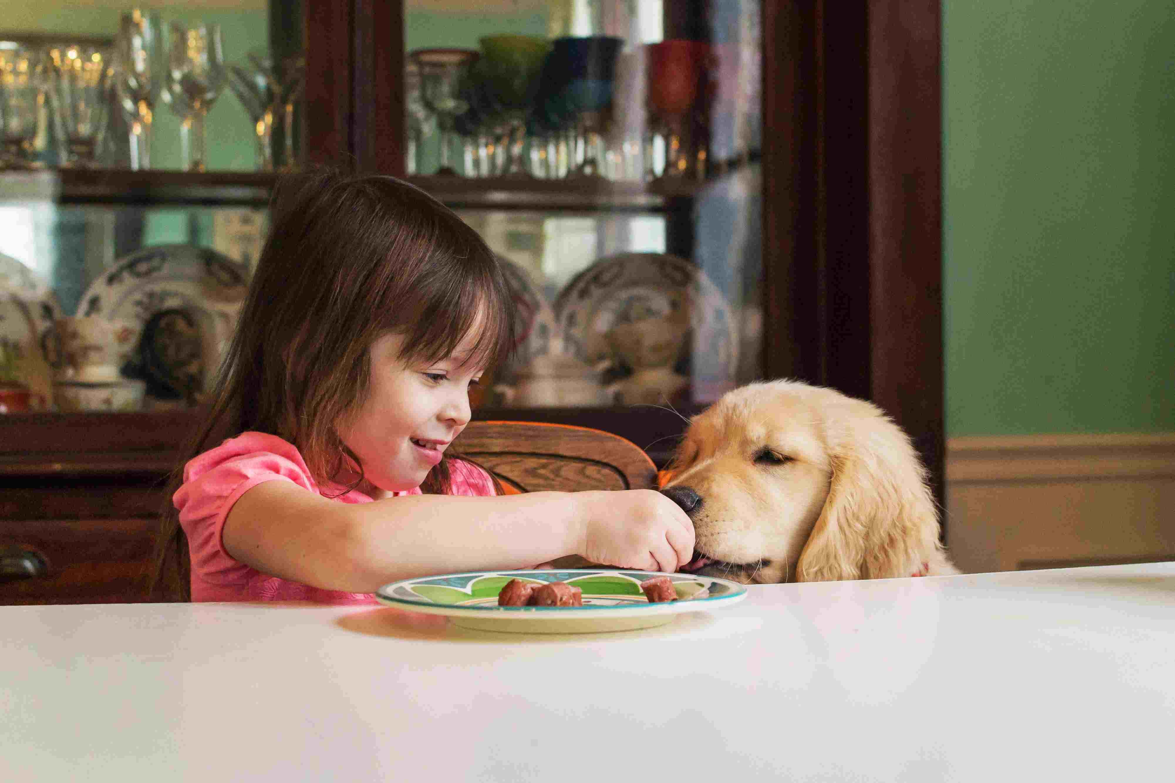 Puppy Obesity: Risks, Causes, and Prevention Tips